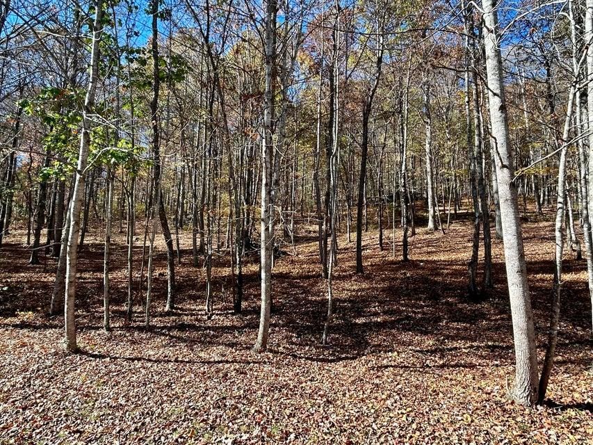 Somerset, Pulaski County, KY for sale Property ID 418179760 LandWatch