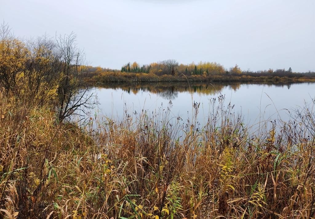 Brantwood, Price County, WI Recreational Property, Hunting Property for