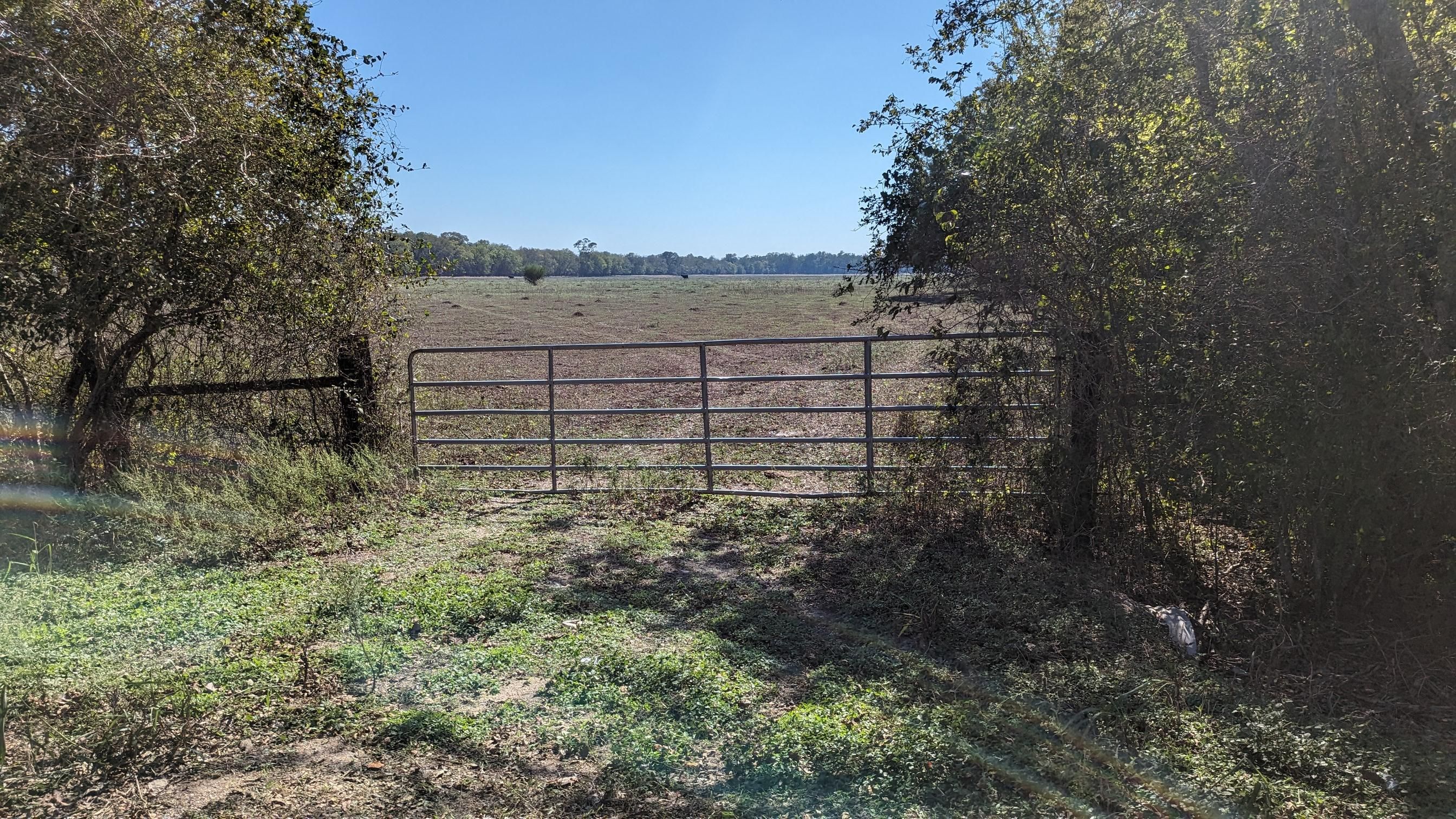 Wharton, Wharton County, TX Farms and Ranches, Hunting Property, Horse