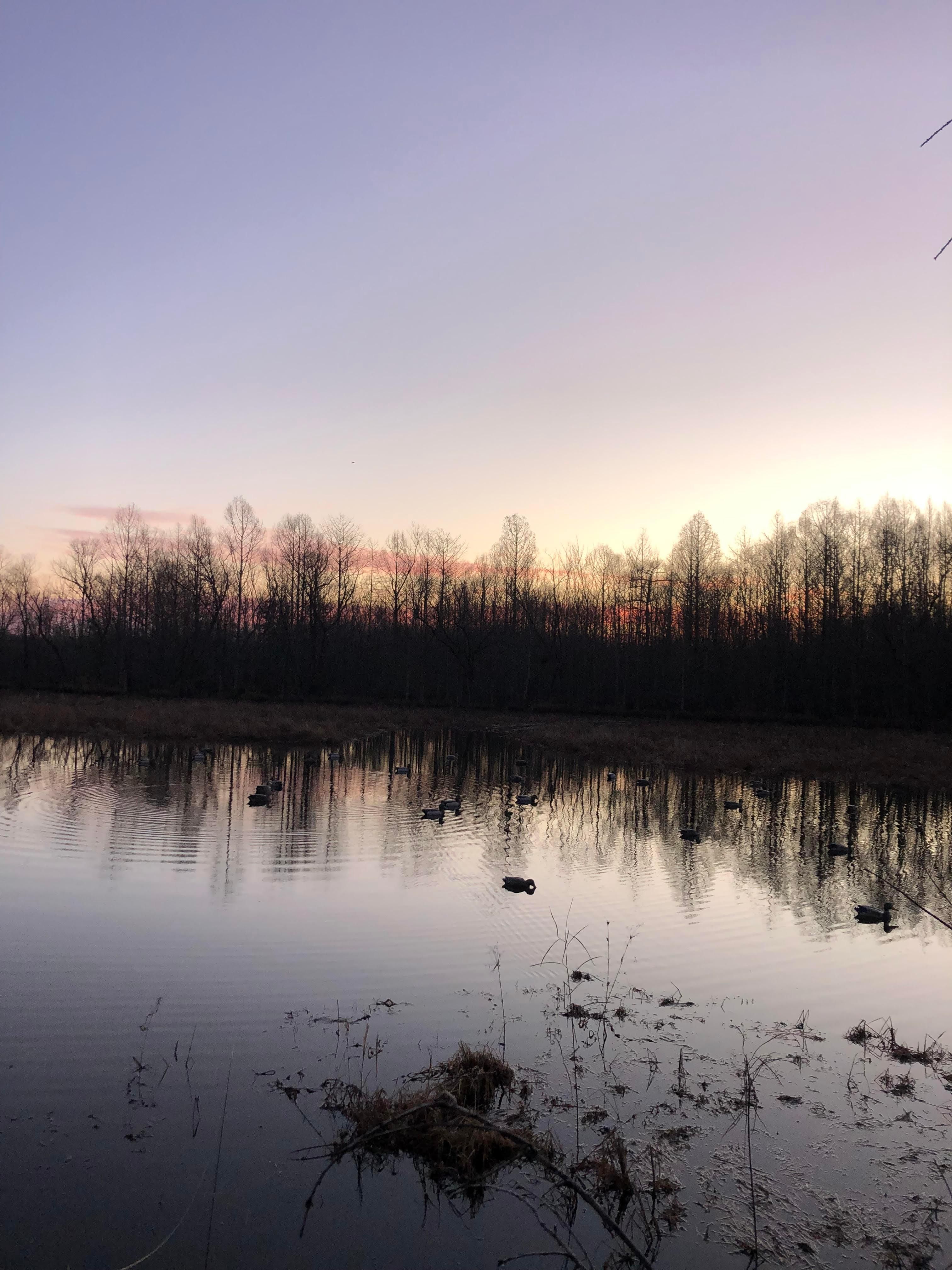 248 acres in Stanton, TN, 38069 LandWatch