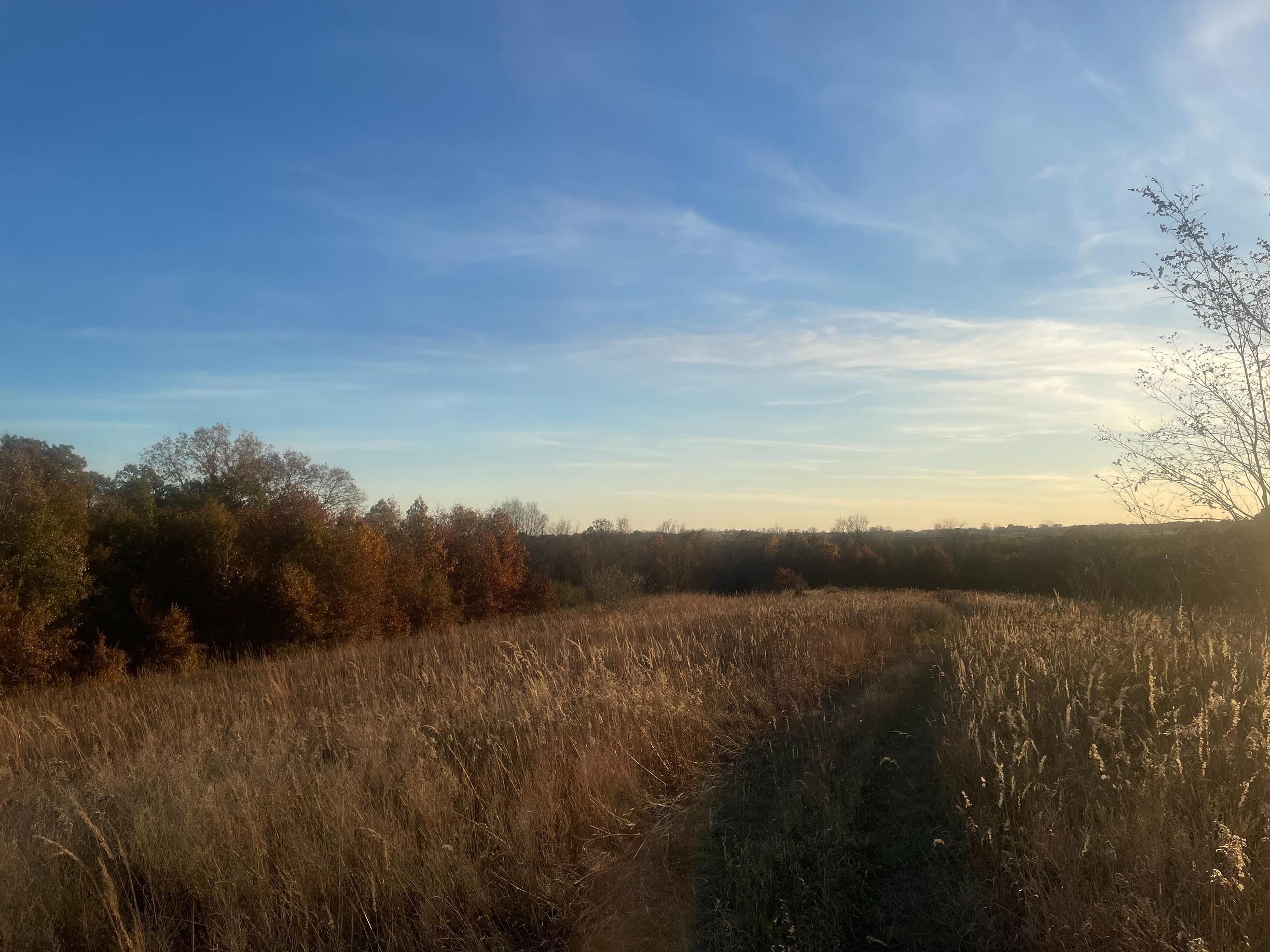 272nd Road, Bonaparte, IA 52620 MLS 23478 LandWatch