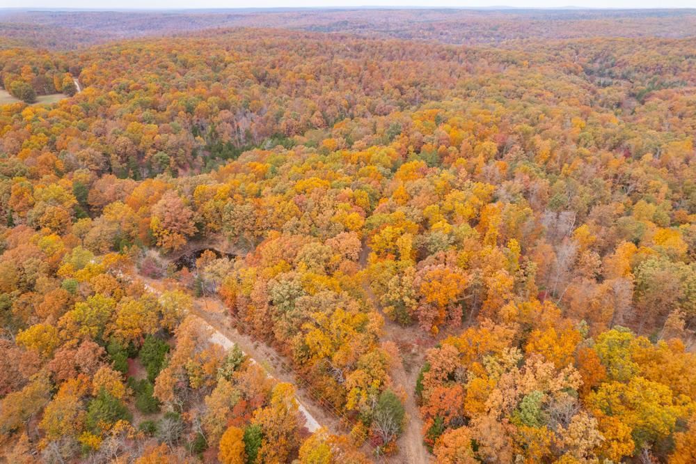 0000 Carr Field Lane, Belgrade, MO 63622 MLS Washington 40 LandWatch