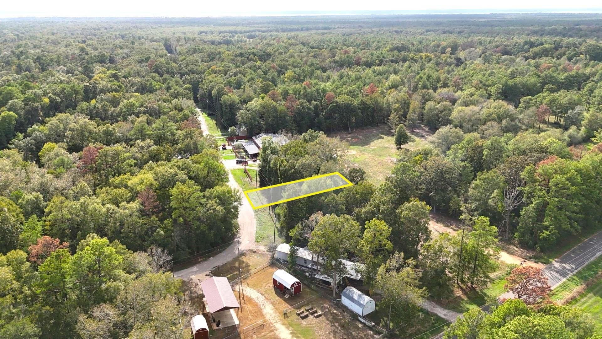 Livingston, Polk County, TX Recreational Property, Timberland Property