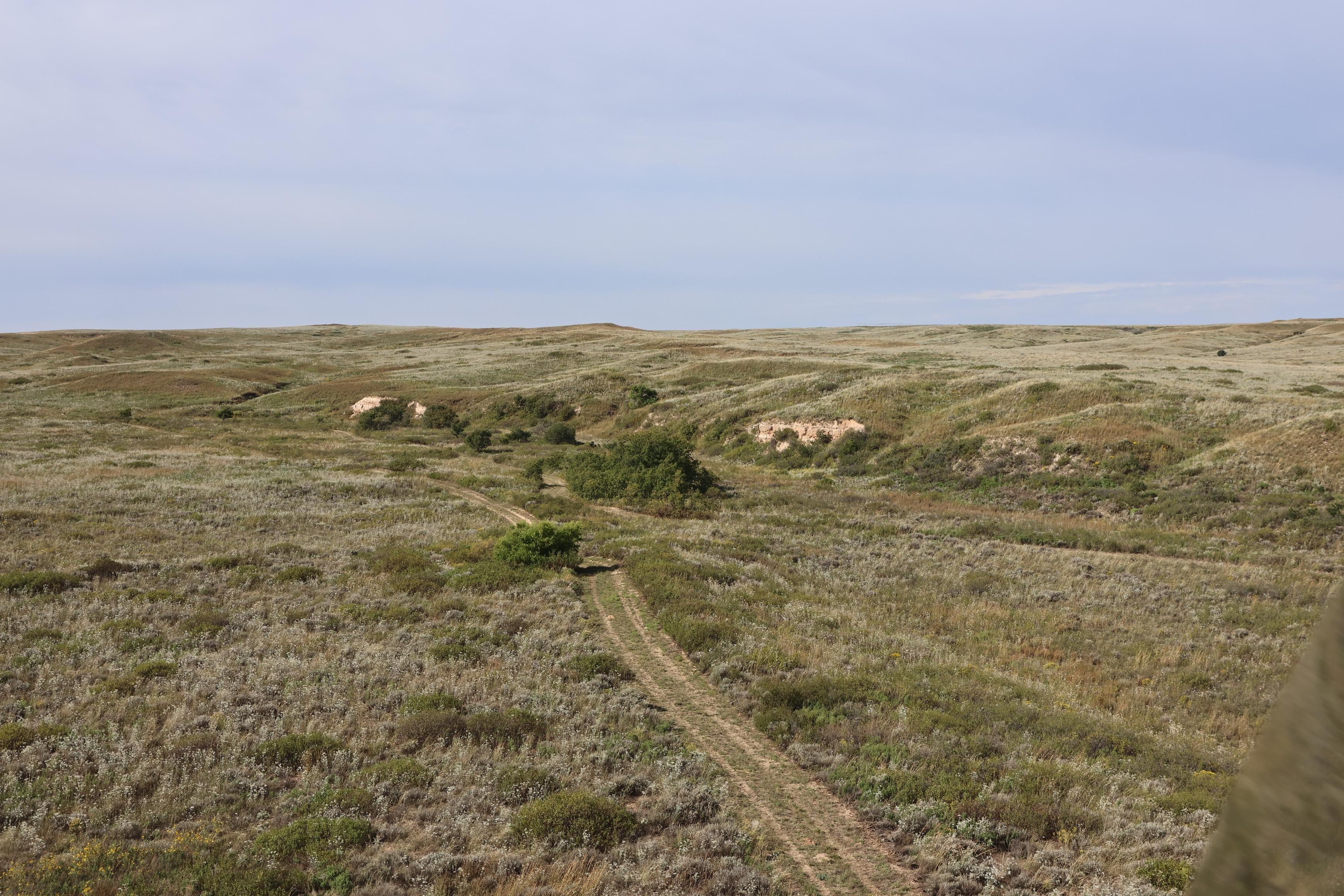 Miami, Roberts County, TX Farms and Ranches for sale Property ID 418180510 LandWatch