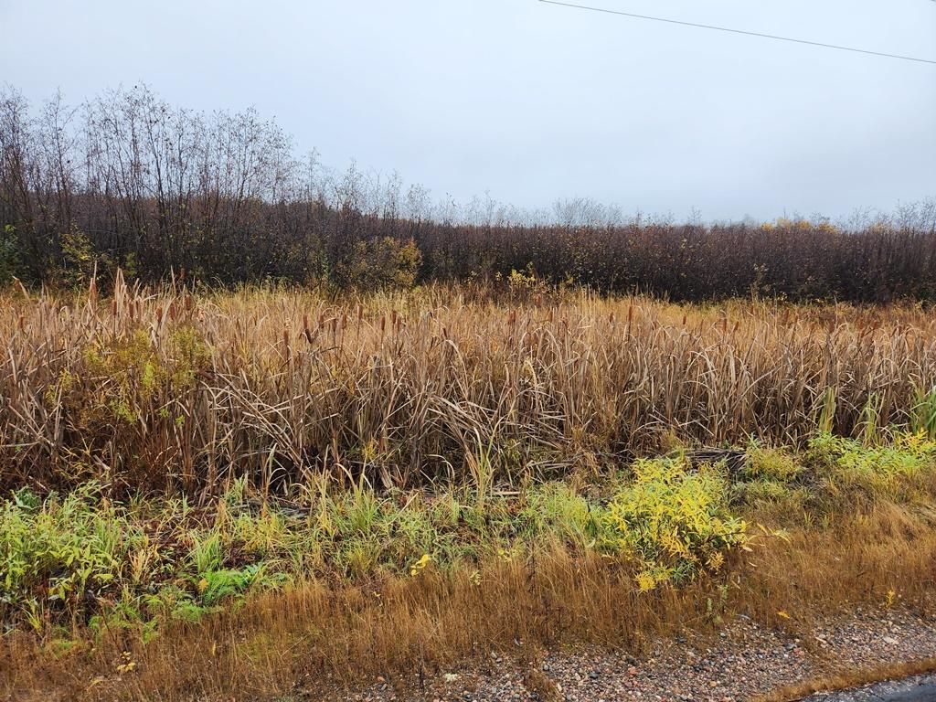 40 acres in Brantwood, WI, 54513 MLS 22235056 LandWatch
