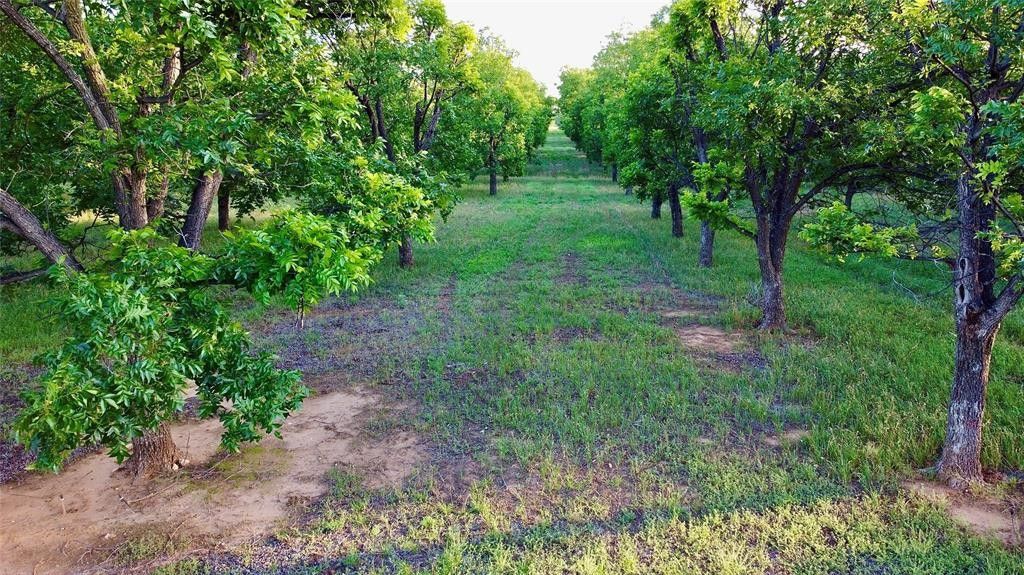 Comanche, Comanche County, TX Farms and Ranches for sale Property ID
