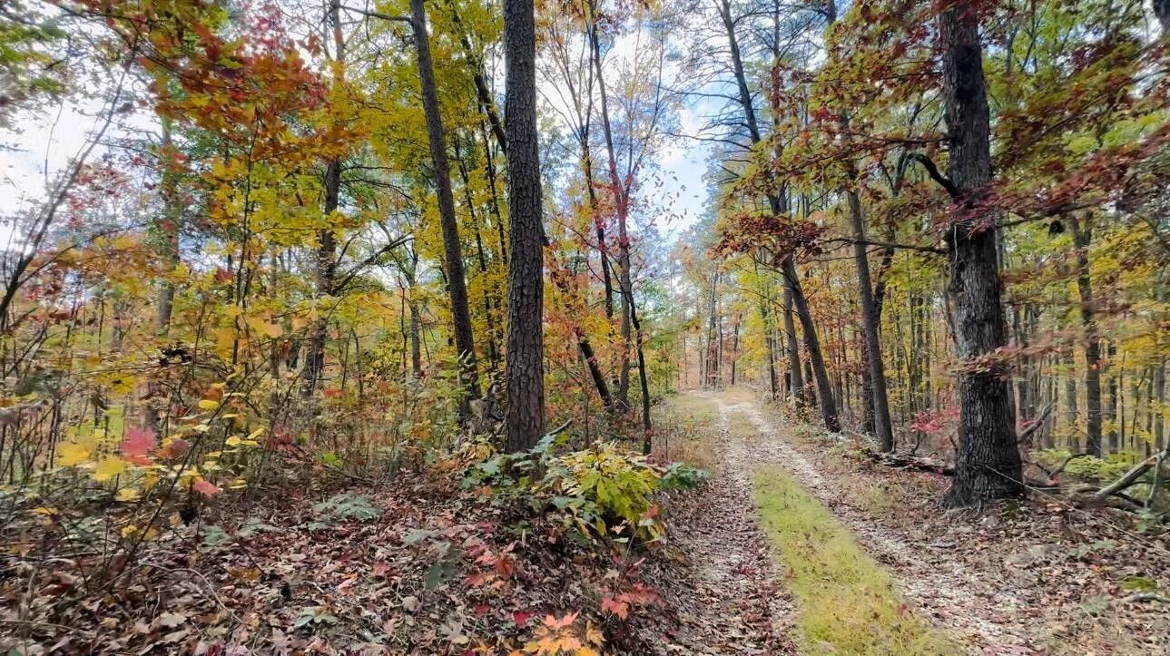 Jeffersonville, Montgomery County, KY Farms and Ranches for sale