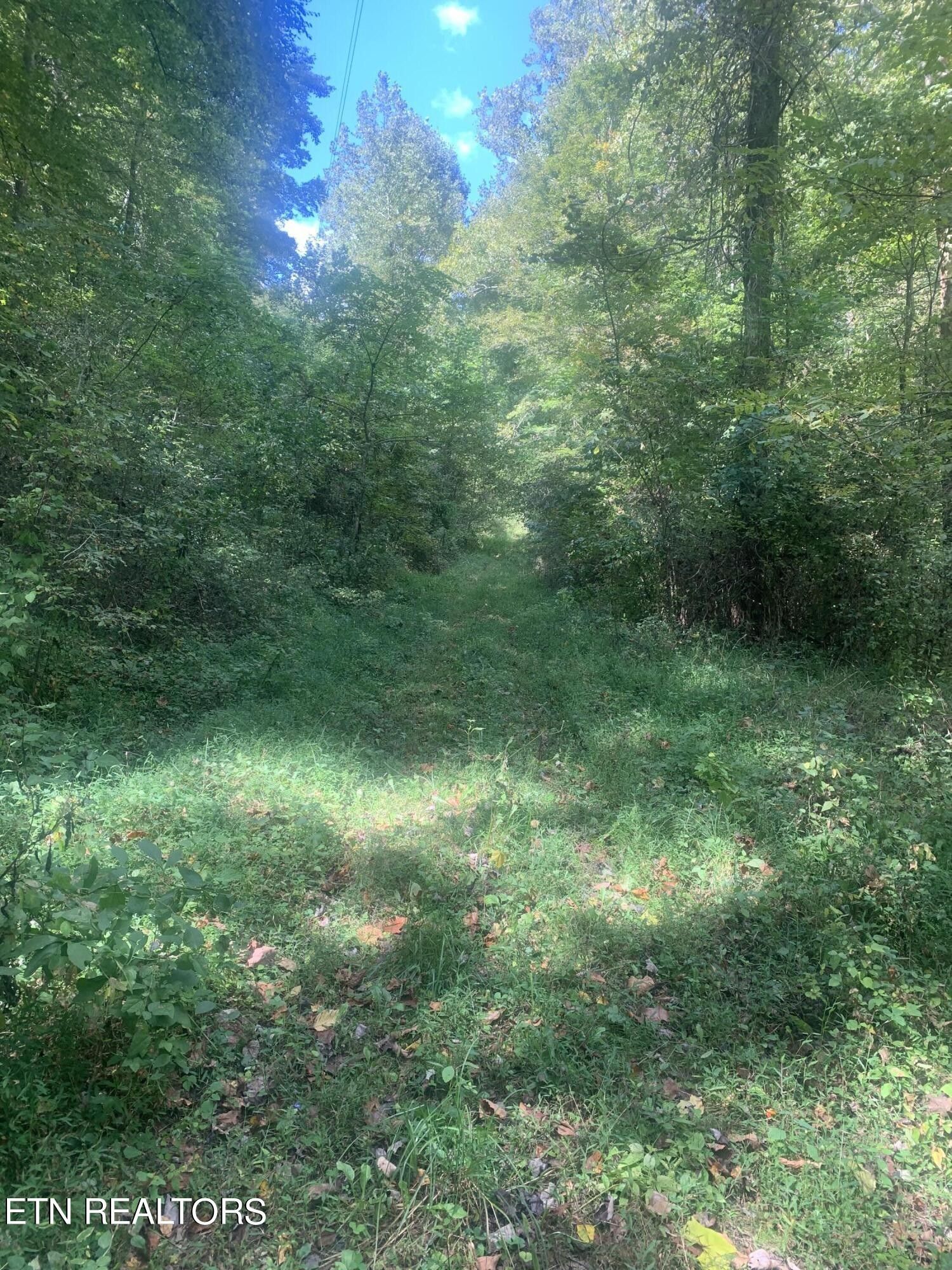 Anna Lane, Clairfield, TN 37715 MLS 1244805 LandWatch