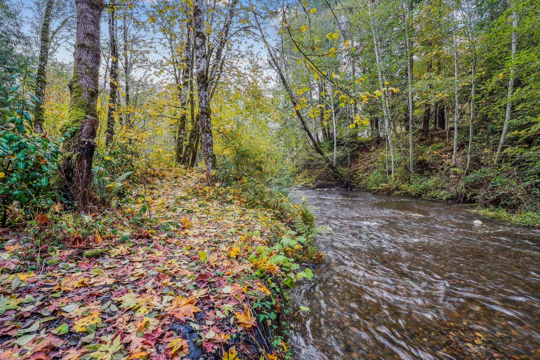 380 E Olde Lyme Rd , Shelton, WA 98584 MLS 23669421 LandWatch