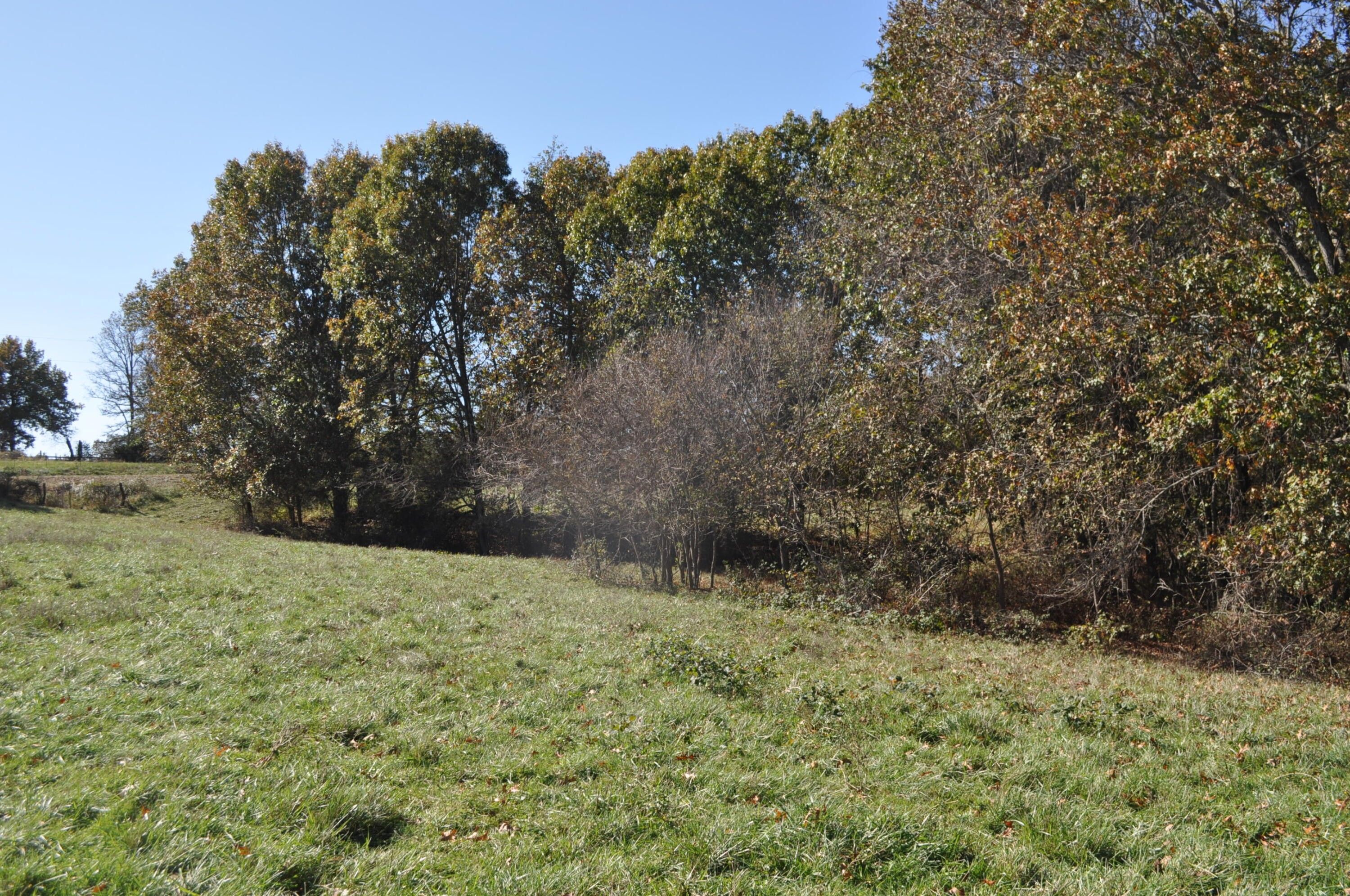 Billings, Stone County, MO Undeveloped Land for sale Property ID 418184459 LandWatch