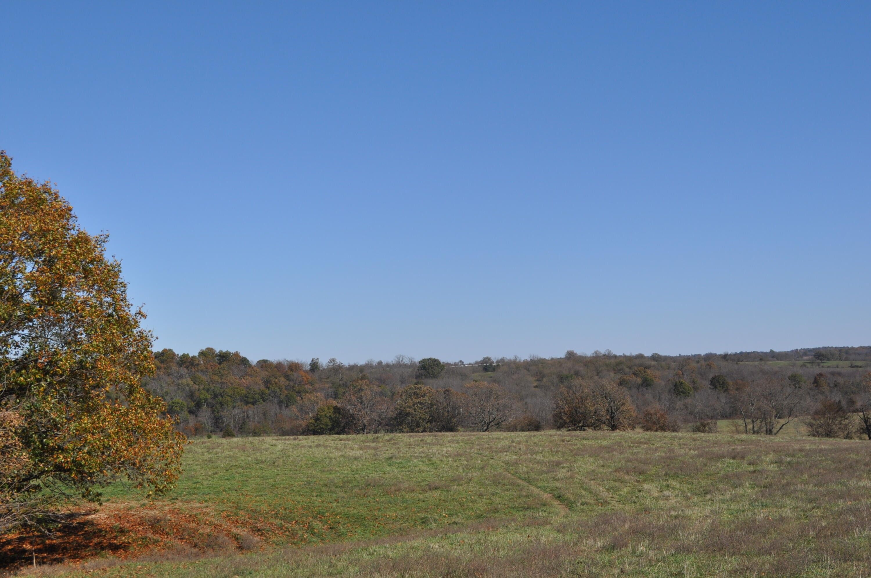 Billings, Stone County, MO Undeveloped Land for sale Property ID 418185287 LandWatch