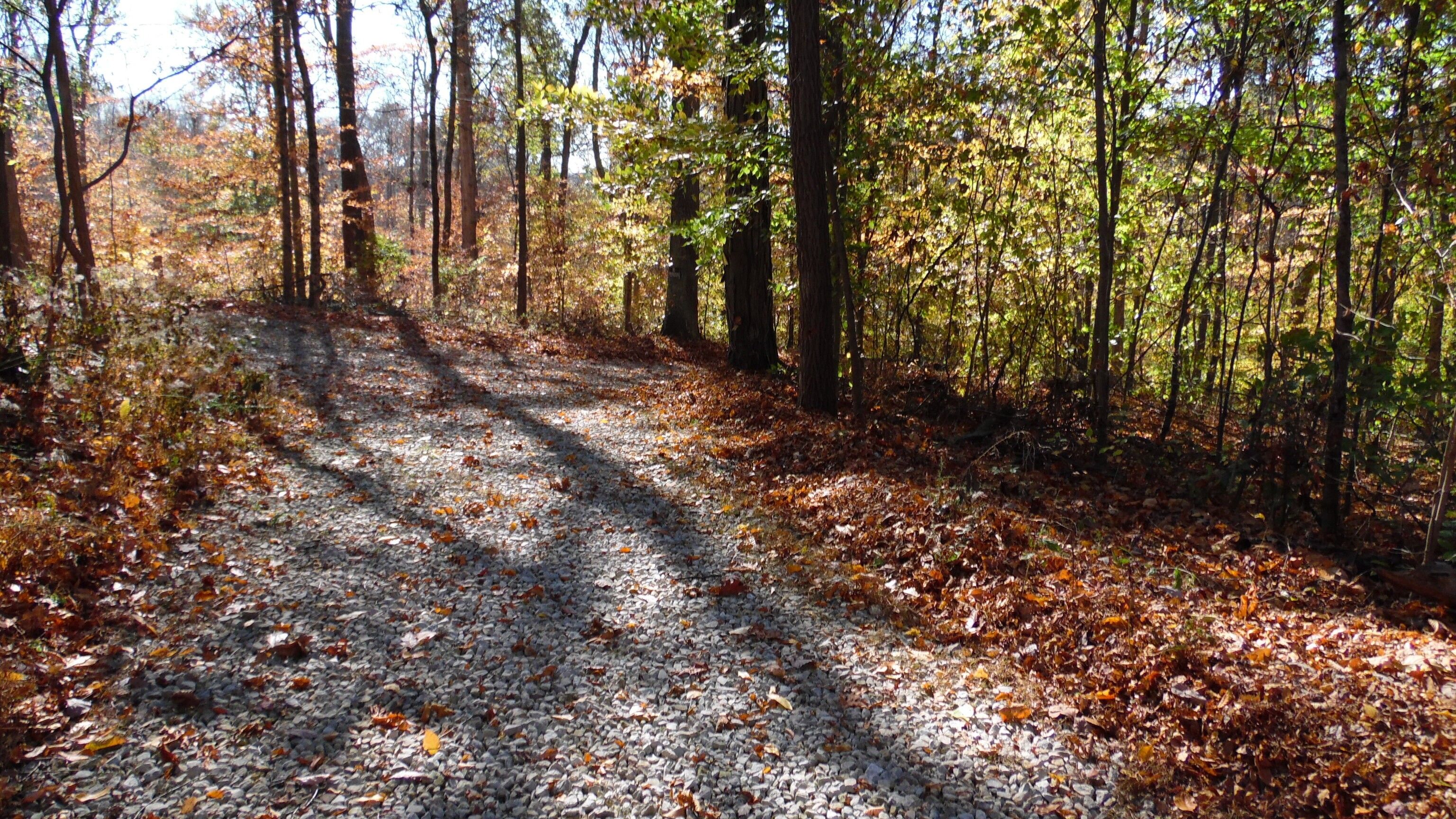 Poland, Owen County, IN Undeveloped Land for sale Property ID