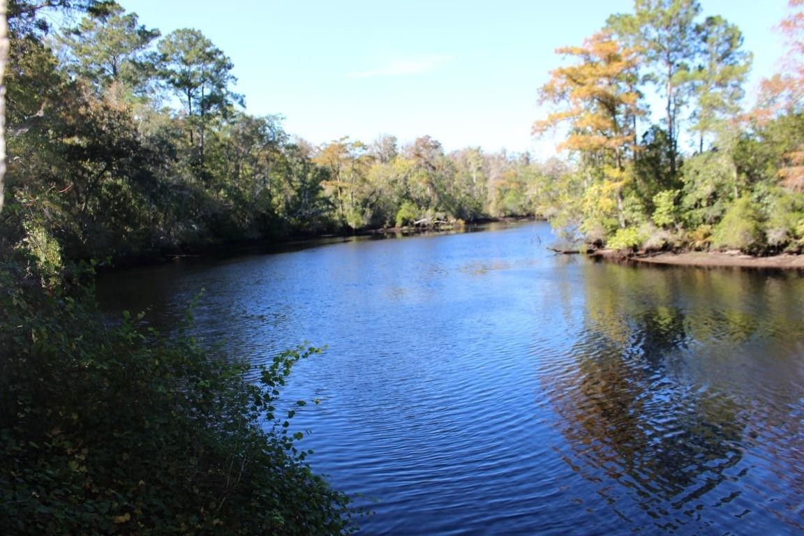 Sopchoppy, Wakulla County, FL Undeveloped Land, Lakefront Property