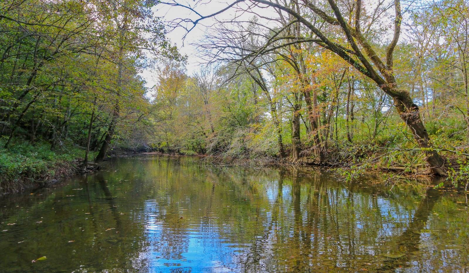 Crawford, Overton County, TN Undeveloped Land, Lakefront Property