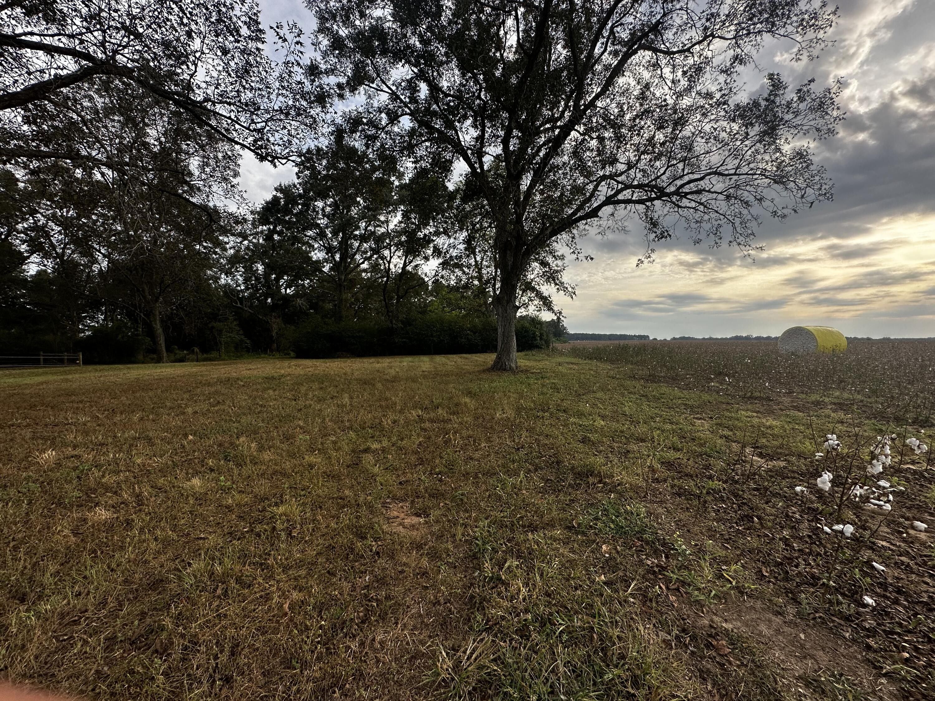 Baker, Okaloosa County, FL Undeveloped Land for sale Property ID