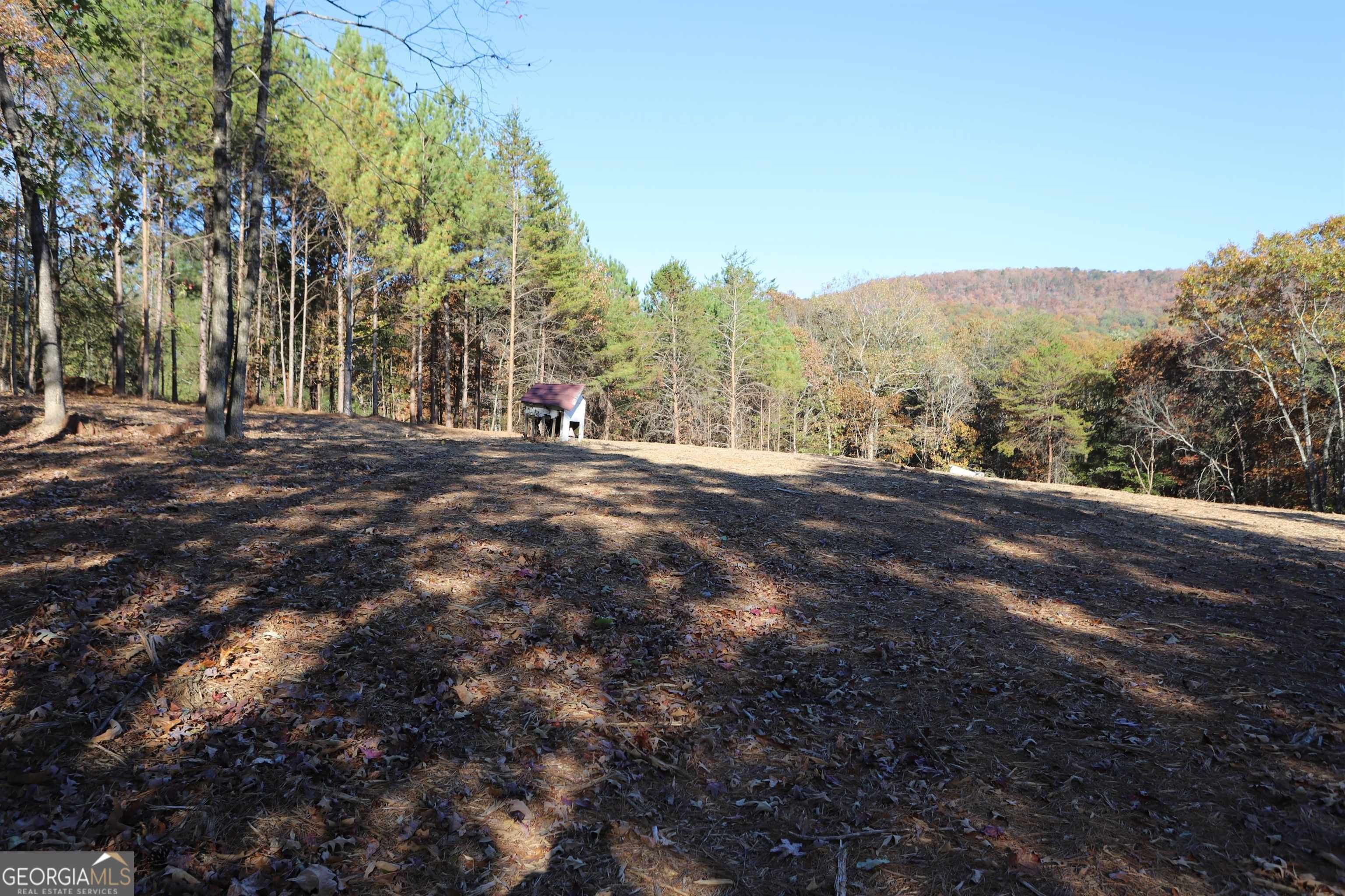 Summerville, Chattooga County, GA Undeveloped Land, Homesites for sale