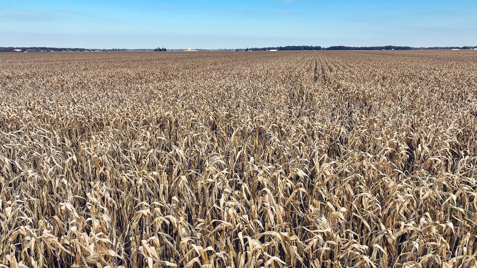 Woodburn, Allen County, IN Farms and Ranches, Undeveloped Land for