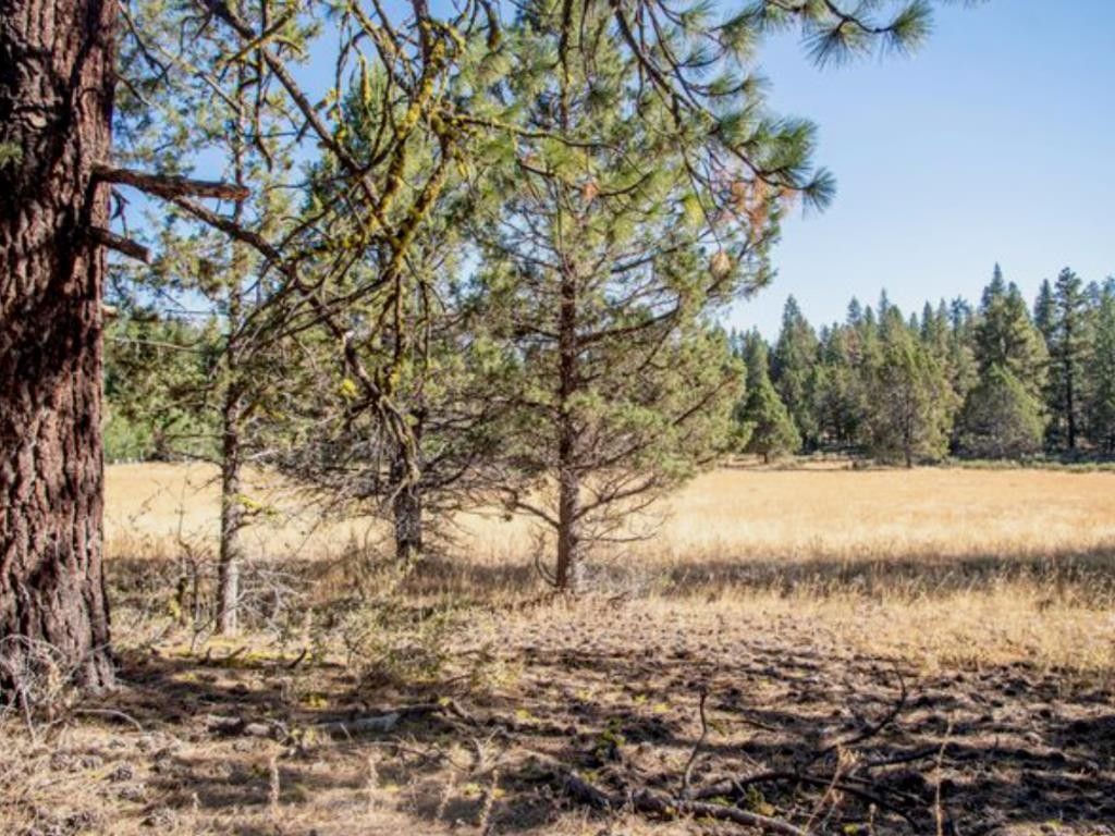 Chiloquin, Klamath County, OR Farms and Ranches for sale Property ID