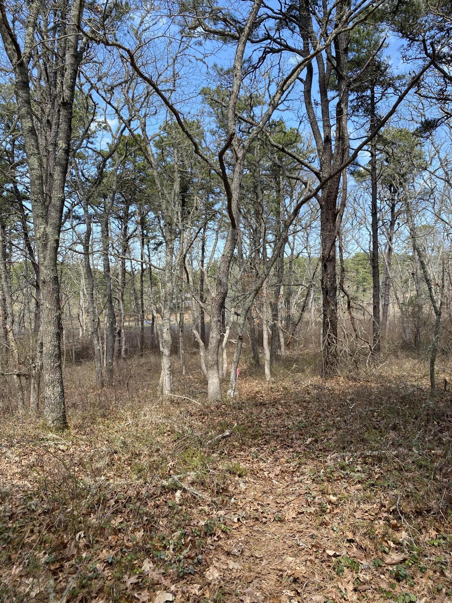 Harwich, Barnstable County, MA Undeveloped Land, Lakefront Property