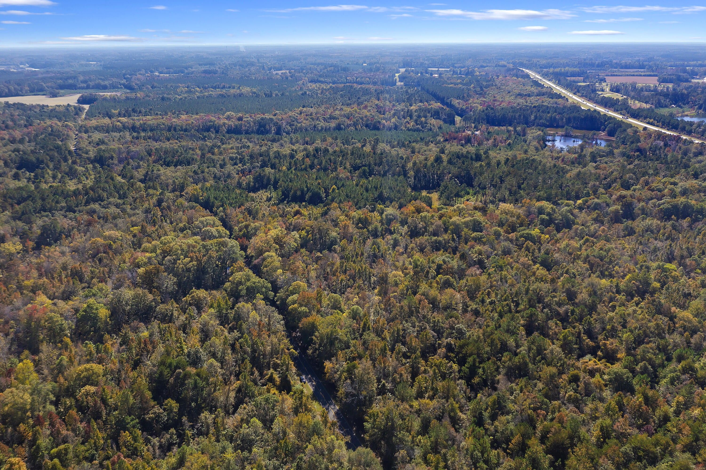 Saint Dorchester County, SC Undeveloped Land for sale Property