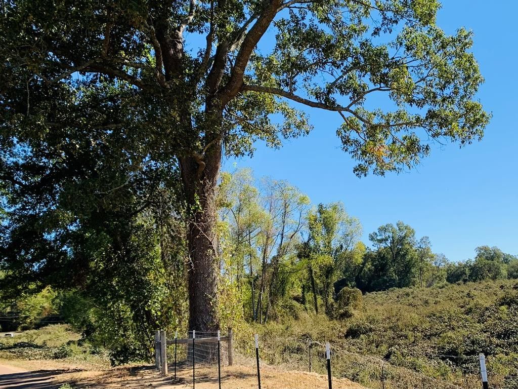 Natchez, Adams County, MS Undeveloped Land, Homesites for sale Property