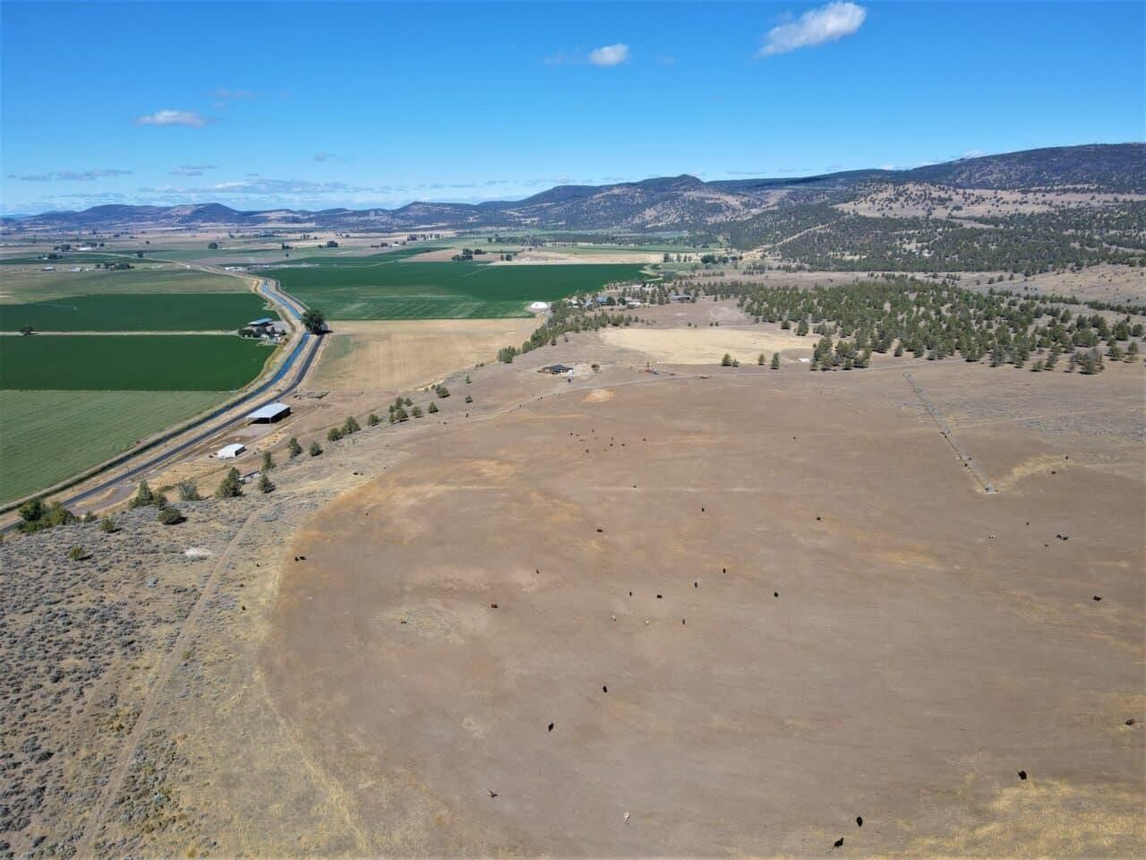 Tulelake, Modoc County, CA Farms and Ranches for sale Property ID