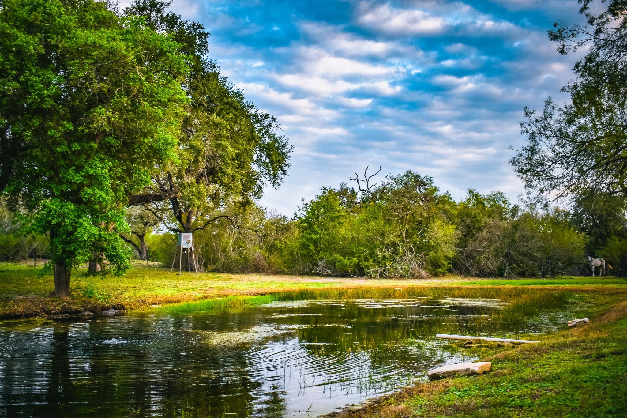 9286 FM 2617, Pettus, TX 78146 MLS 1729694 LandWatch