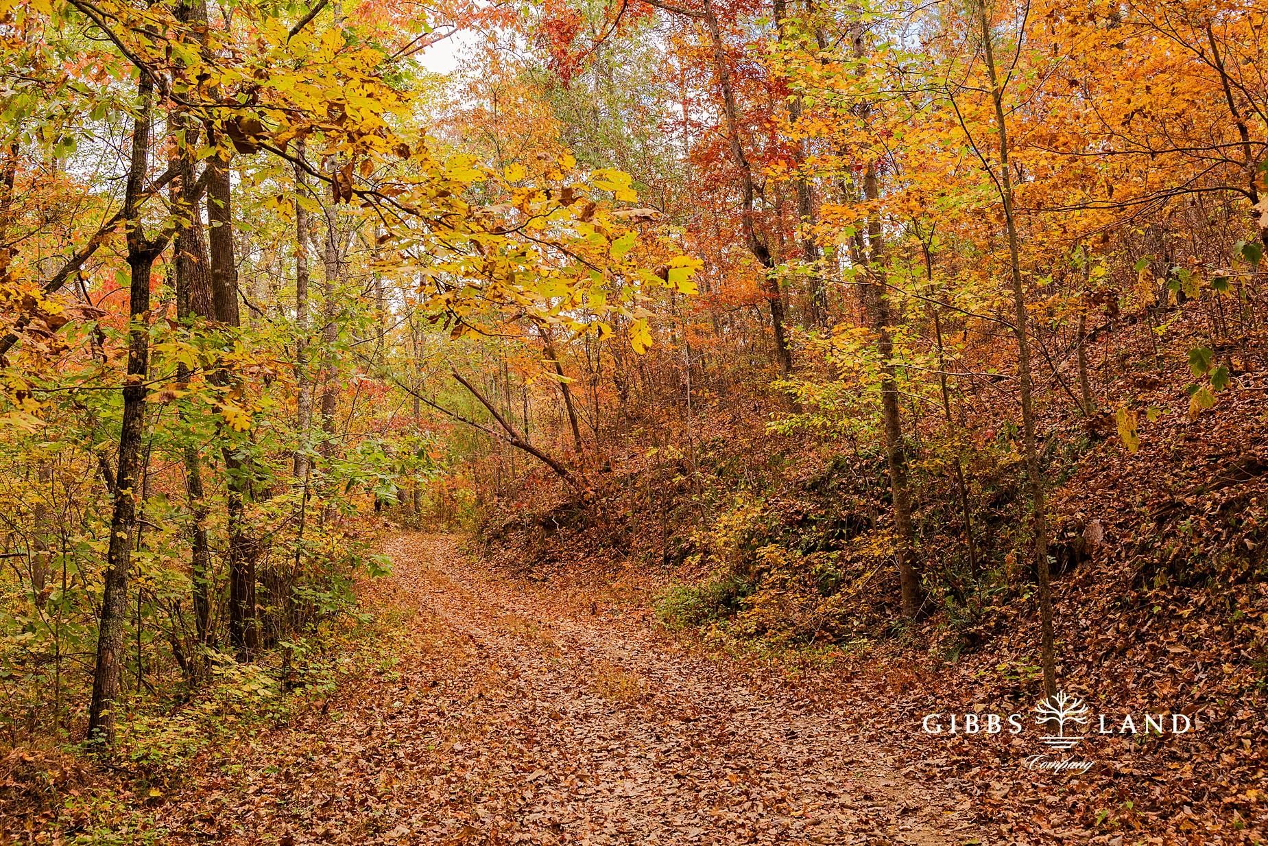 5091 County Road 97, Gaylesville, AL 35973 LandWatch