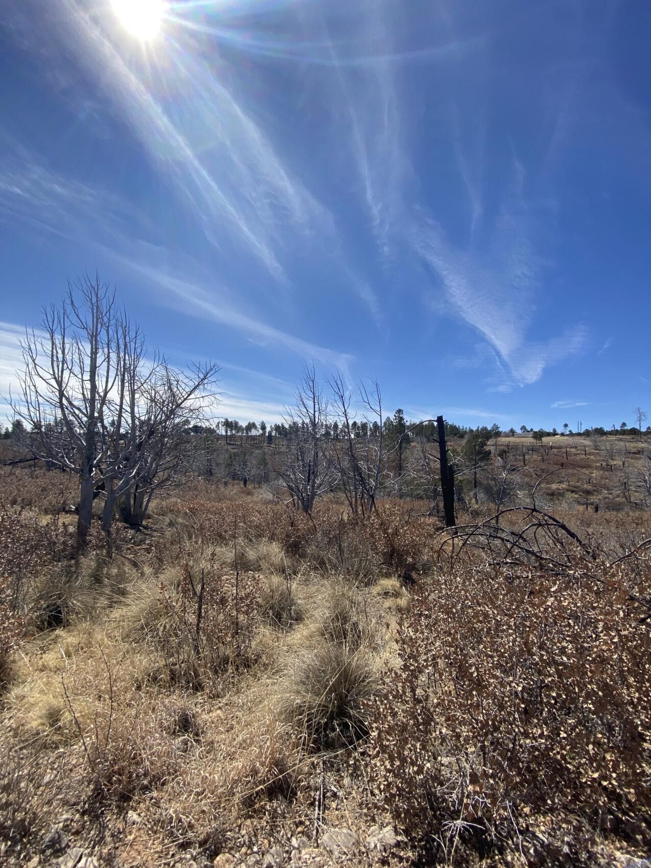 Timberon, Otero County, NM Recreational Property, Homesites for sale