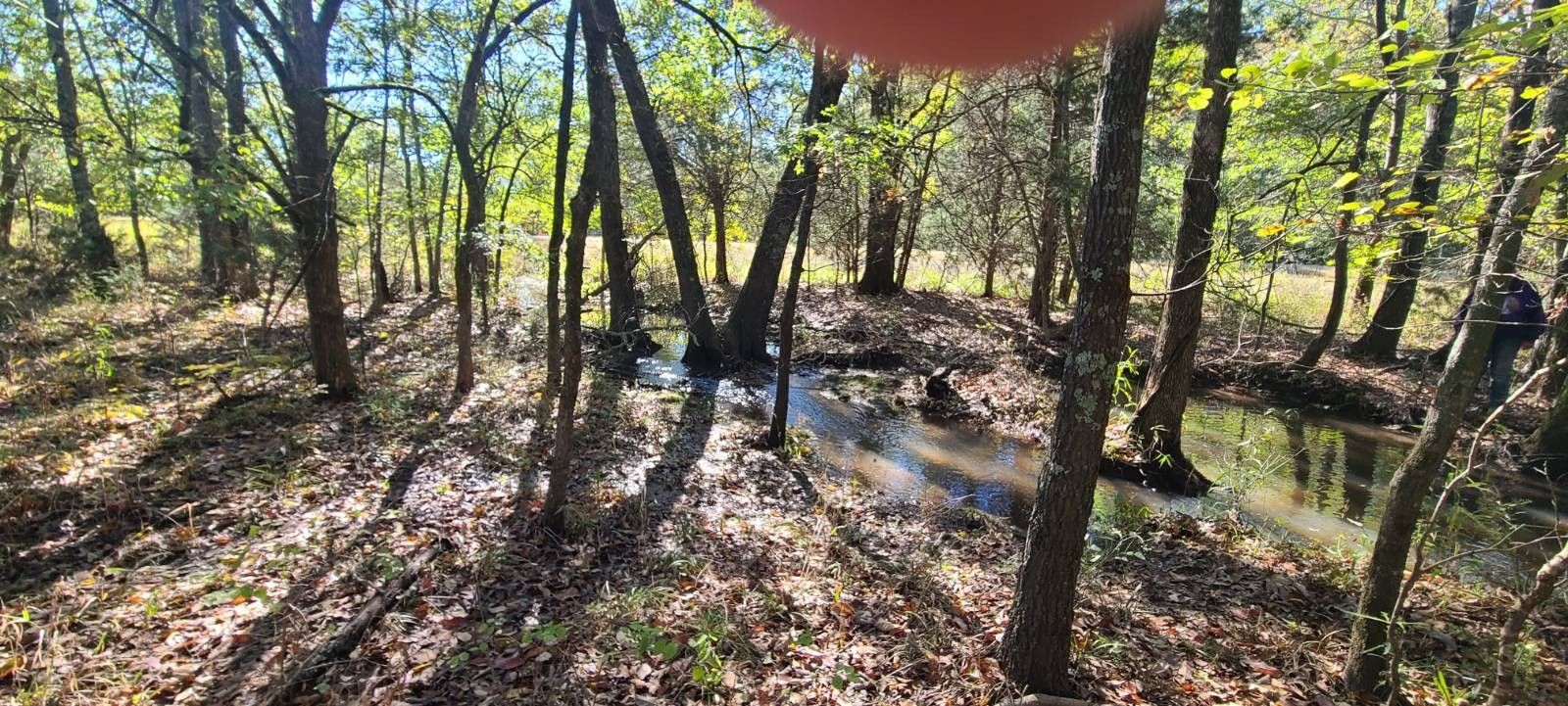 Tuskahoma, Pushmataha County, OK Undeveloped Land for sale Property ID