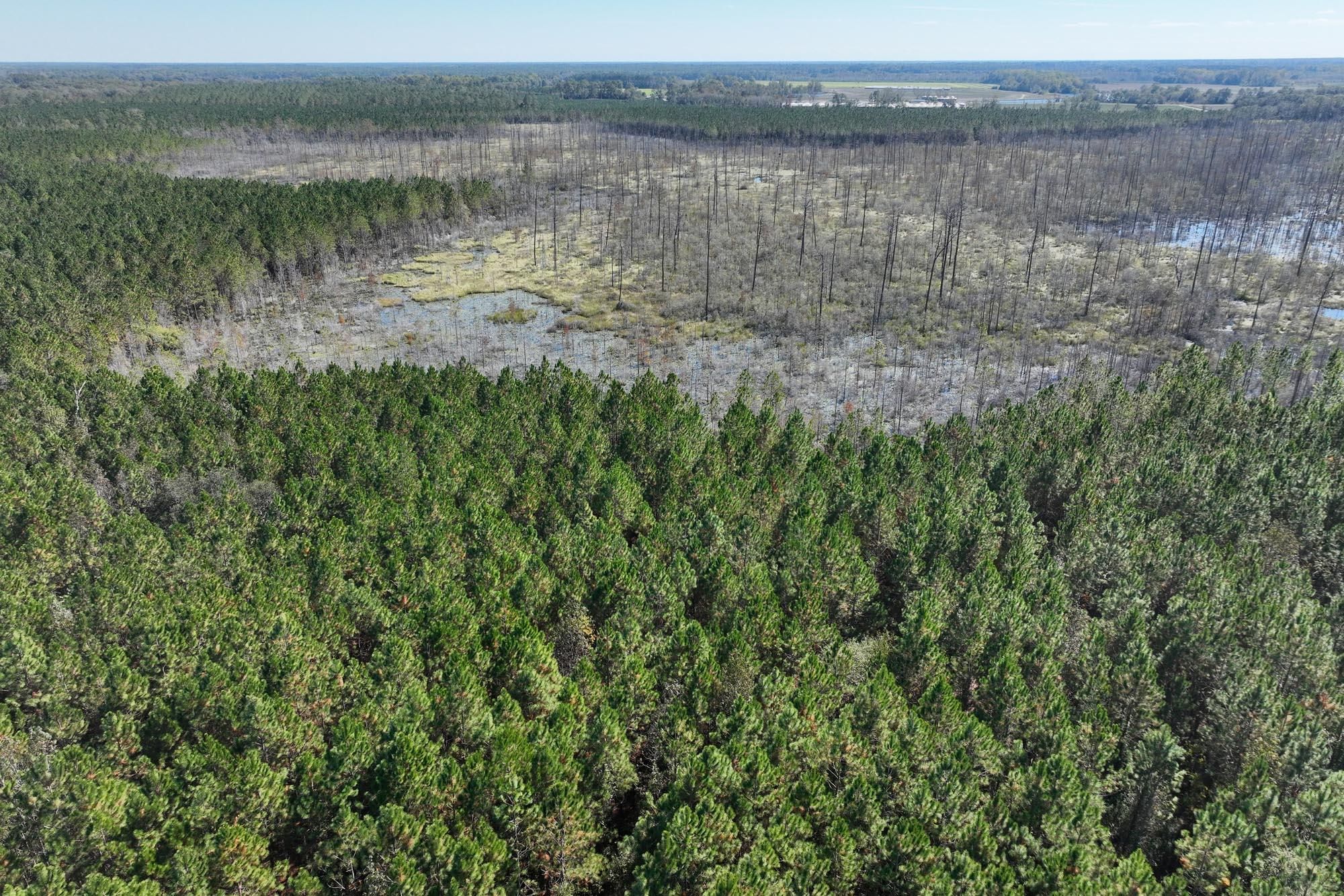 Claxton, Evans County, GA Recreational Property, Timberland Property