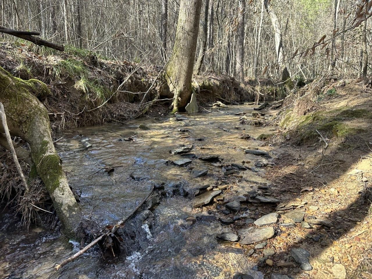 Logan, Winston County, AL Recreational Property, Timberland Property