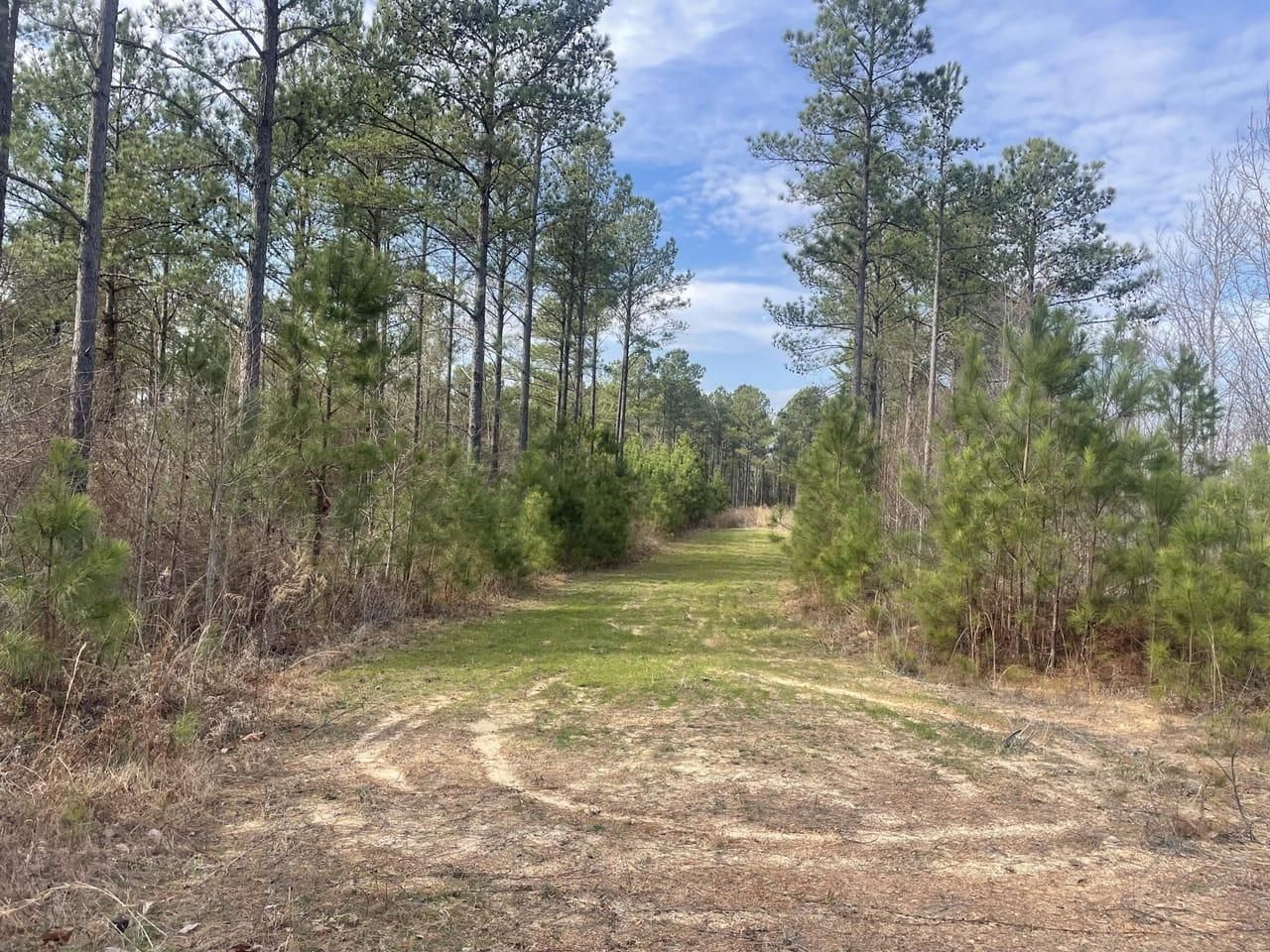 Empire, Walker County, AL Recreational Property, Timberland Property, Hunting Property for sale