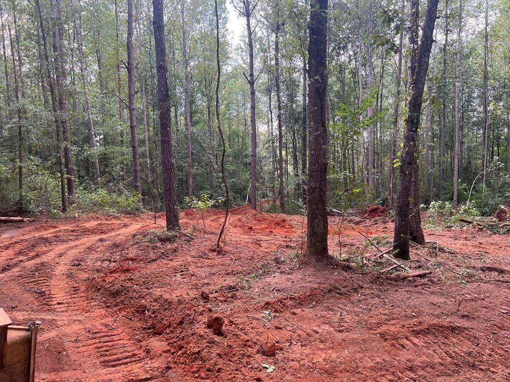 Alabama 10, Brundidge, AL 36010 MLS 25347 LandWatch