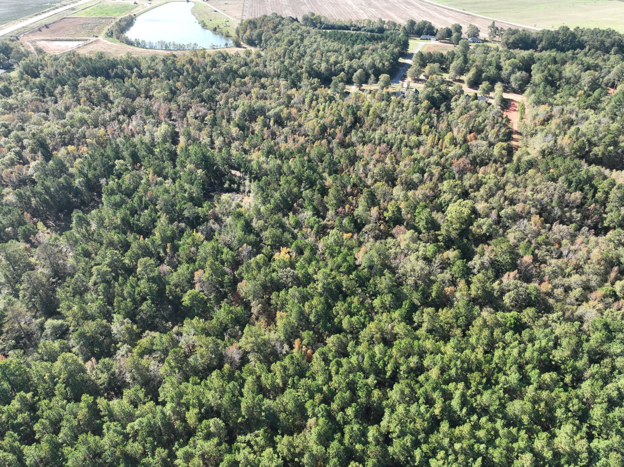 Louisville, Jefferson County, GA for sale Property ID 418201738