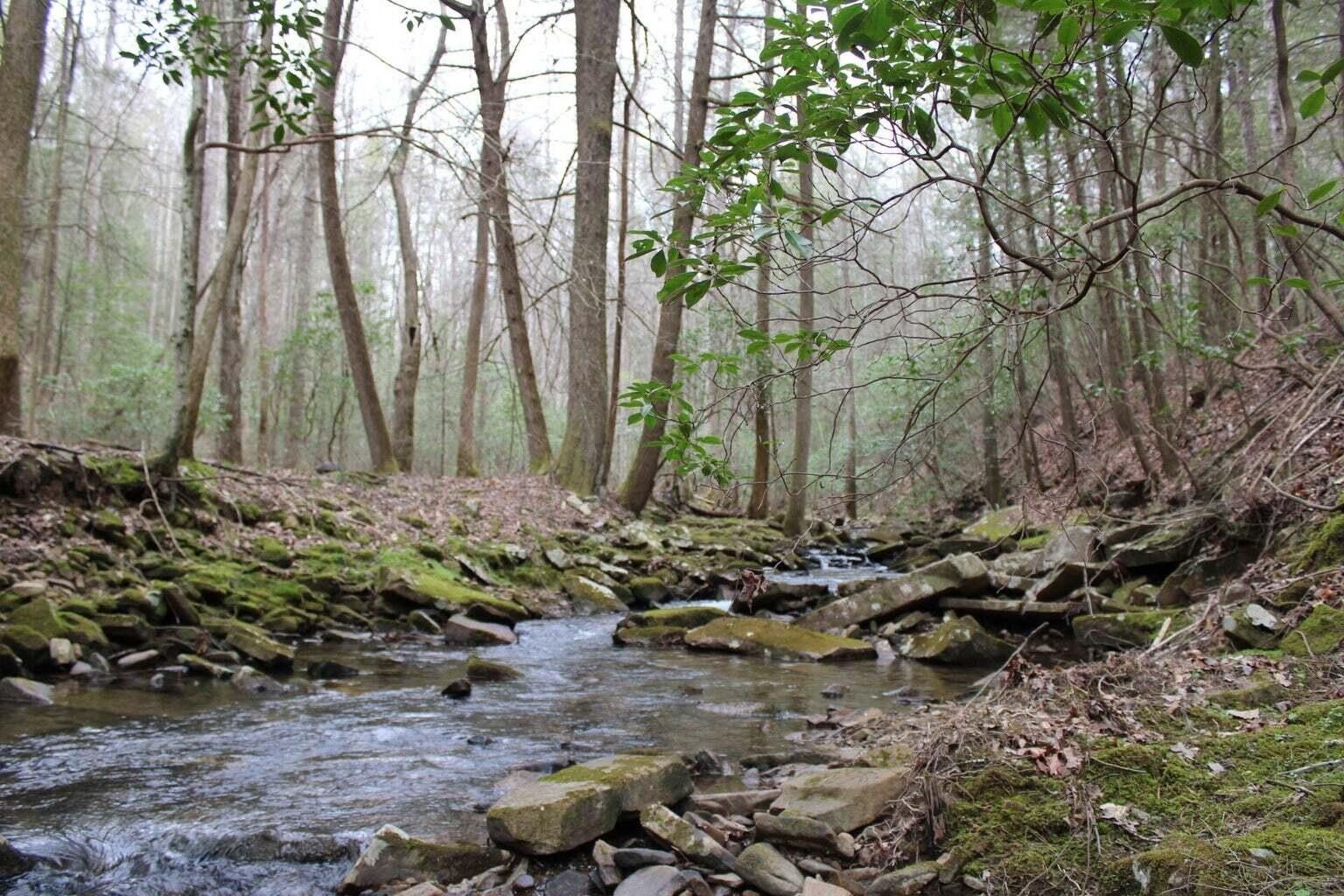 Dunlap, Sequatchie County, TN Undeveloped Land, Homesites for sale