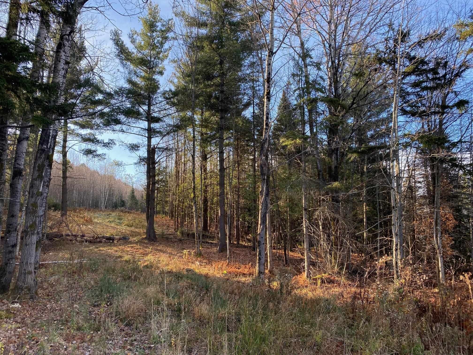 Troy, Orleans County, VT Undeveloped Land, Homesites for sale Property