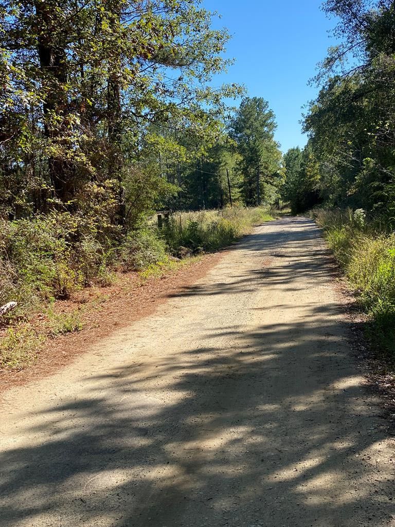 Zavalla, Angelina County, TX House for sale Property ID 418203277