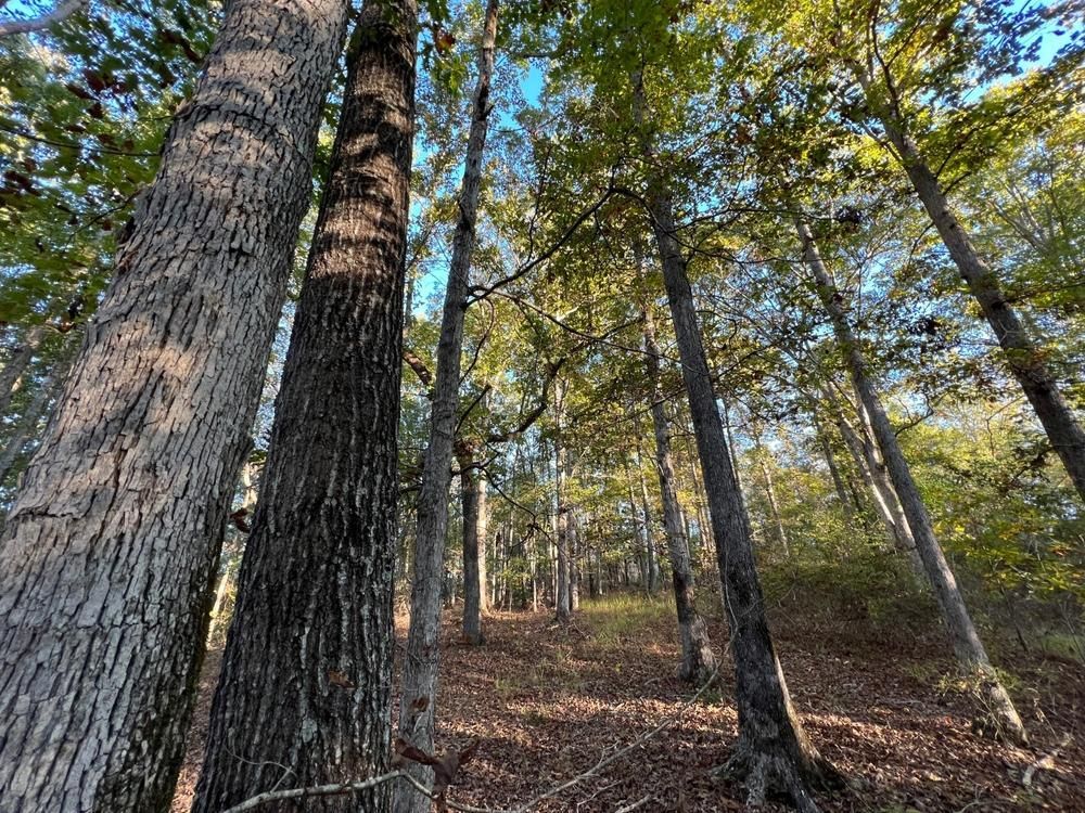 Camp Hill, Tallapoosa County, AL Farms and Ranches for sale Property ID