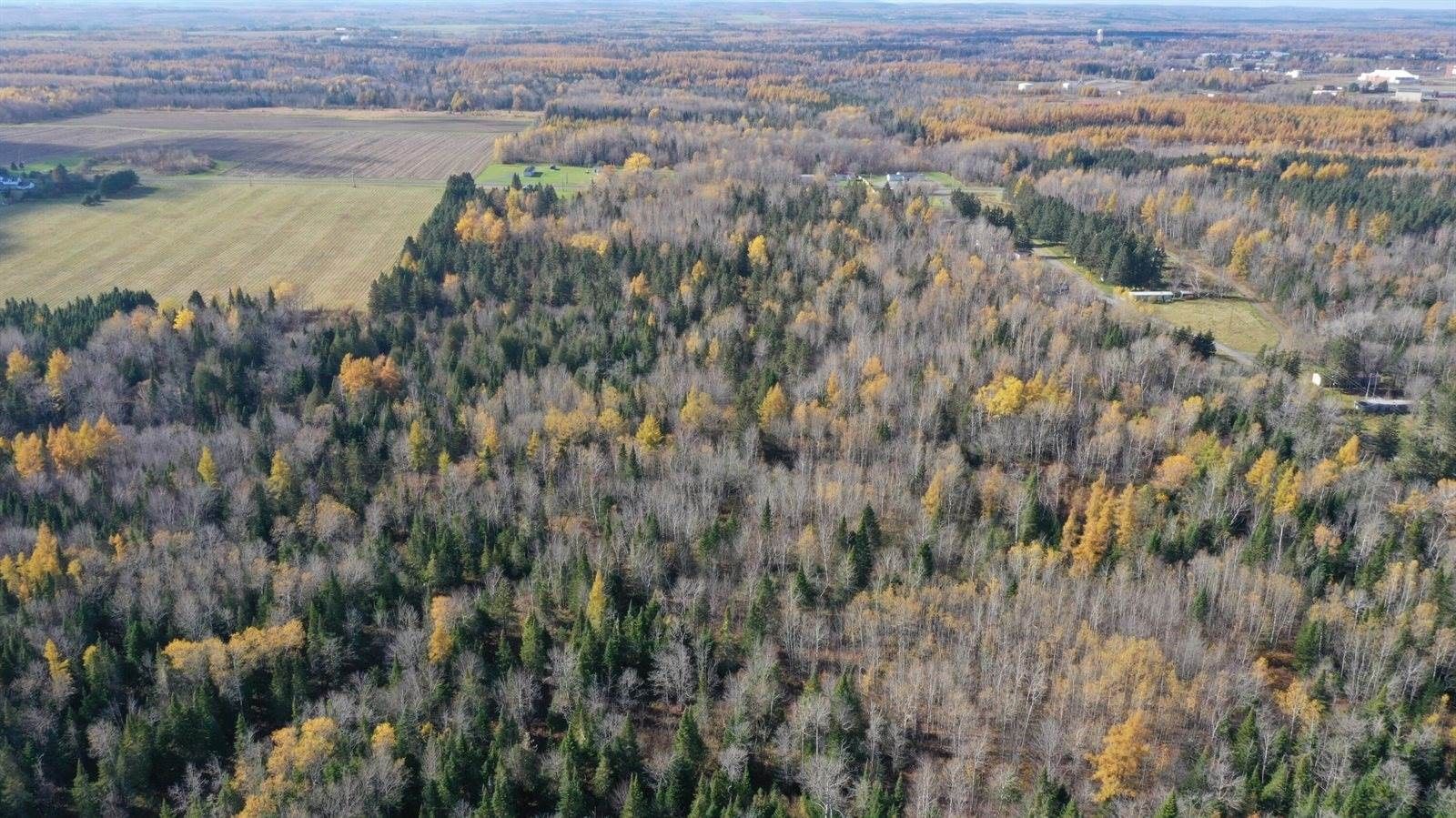 Limestone, Aroostook County, ME Undeveloped Land for sale Property ID