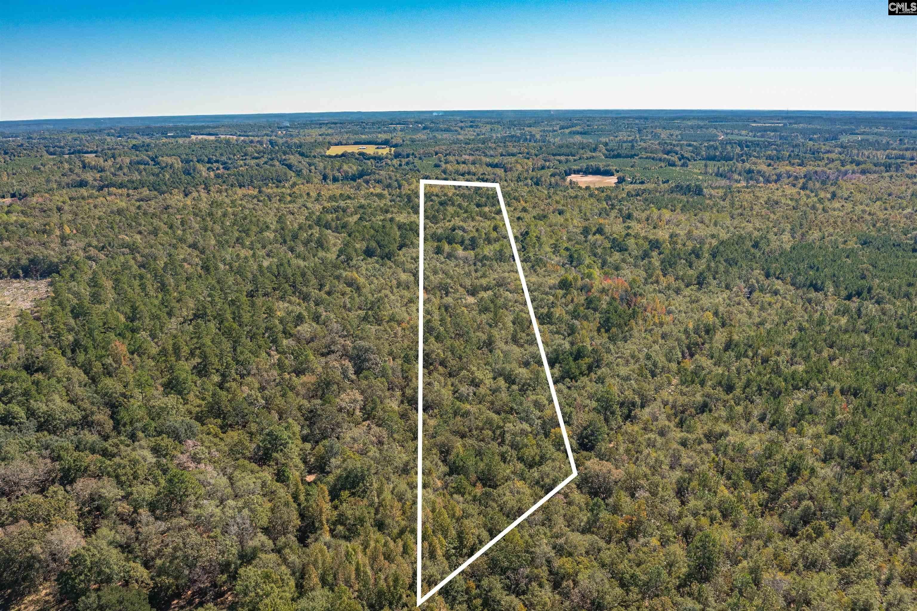Orangeburg, Orangeburg County, SC Undeveloped Land for sale Property ID 418204089 LandWatch