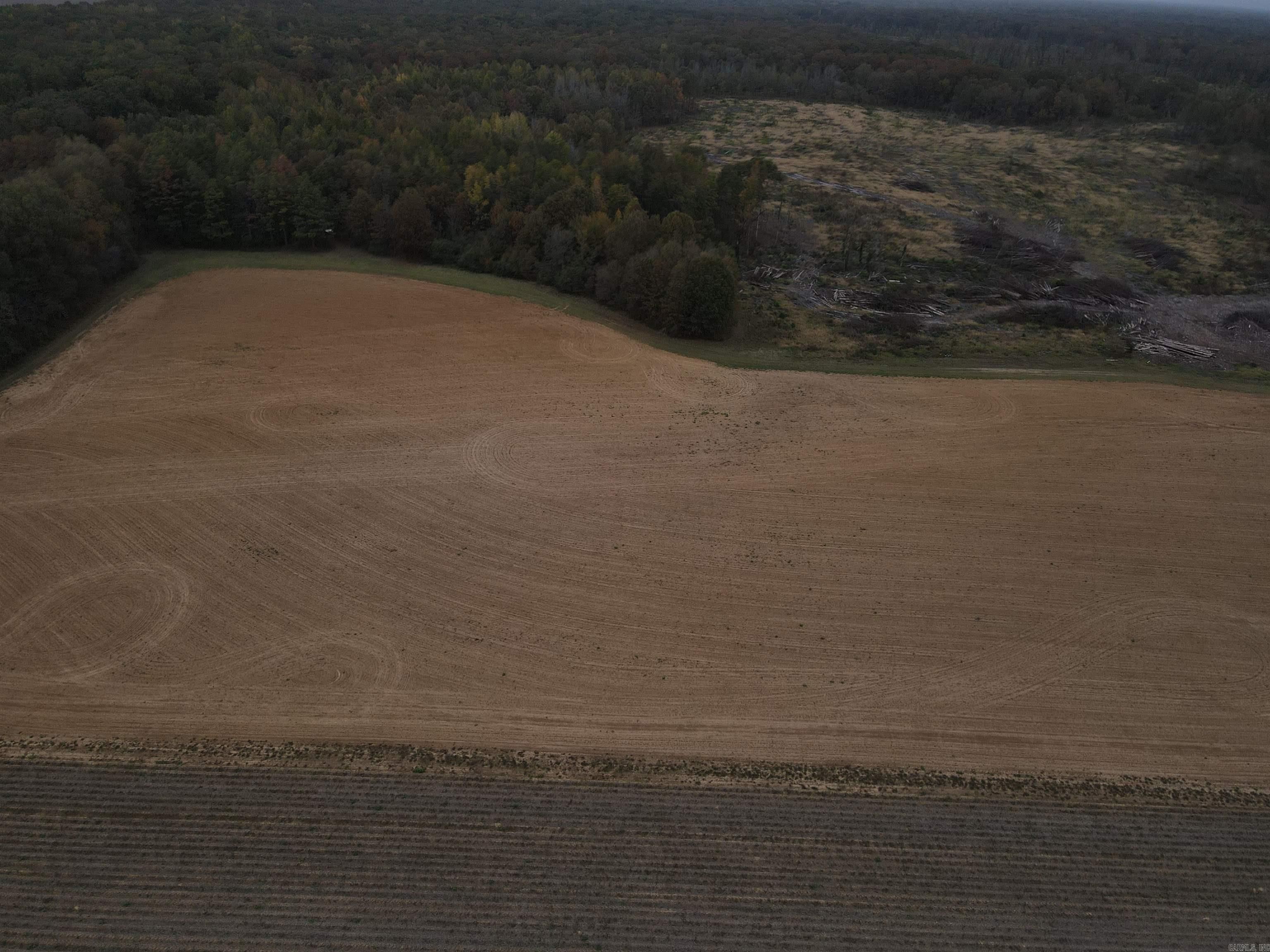 Crocketts Bluff, Arkansas County, AR Undeveloped Land for sale Property