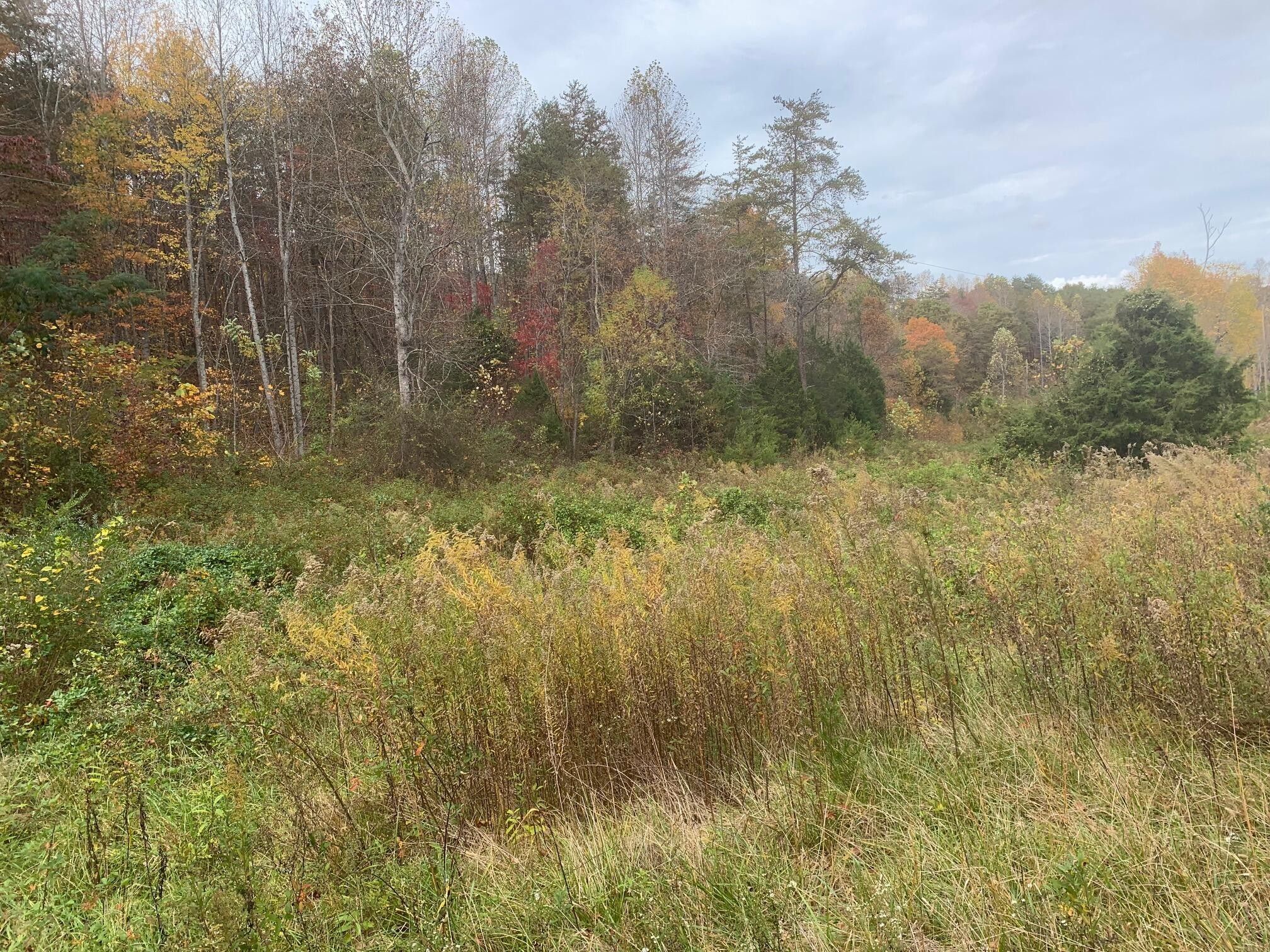 Madisonville, Monroe County, TN Farms and Ranches for sale Property ID