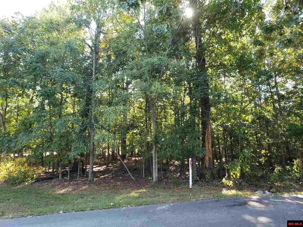 Bull Shoals, Marion County, AR Undeveloped Land, Homesites for sale