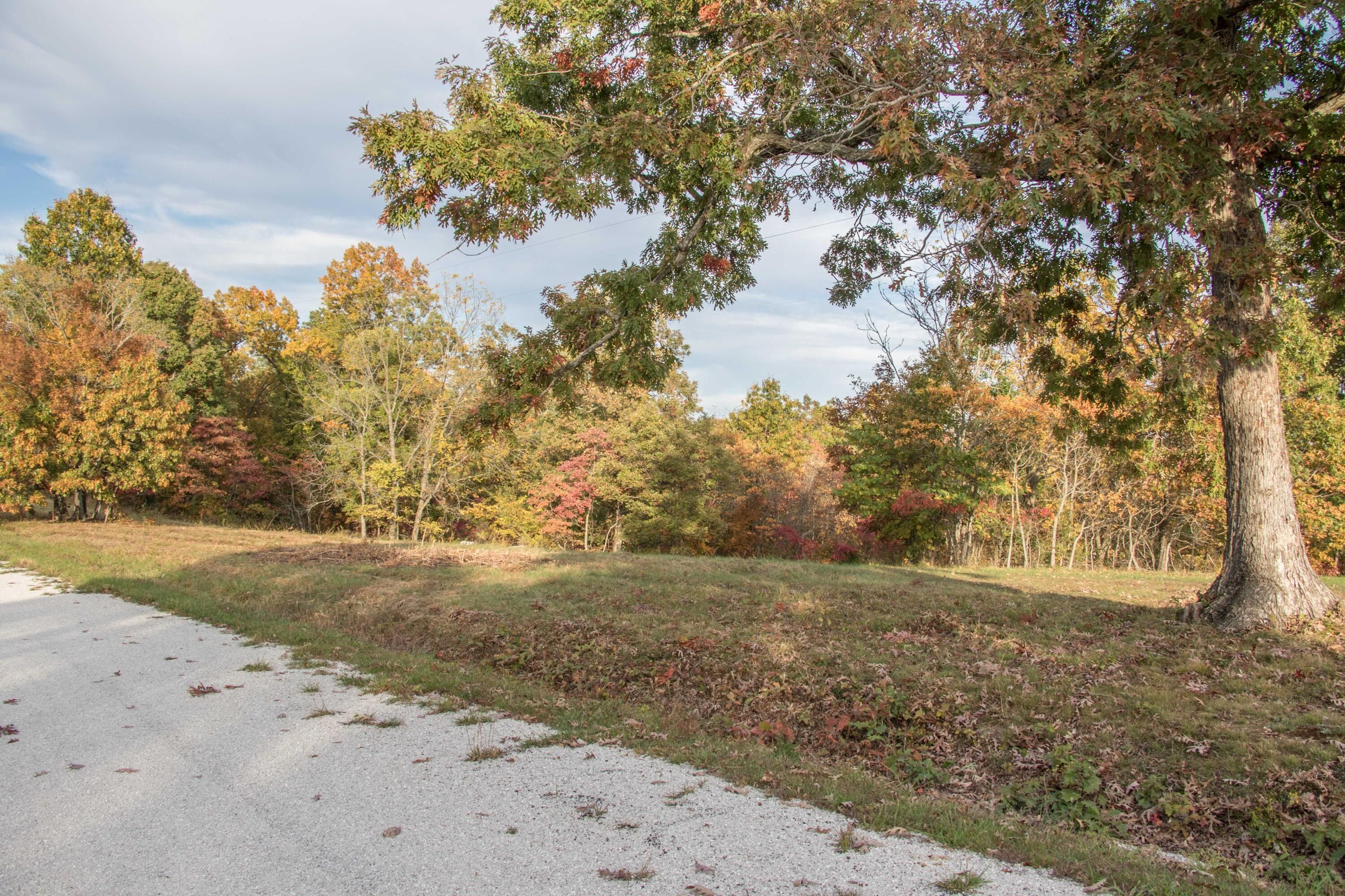 Bruner, Christian County, MO Undeveloped Land for sale Property ID