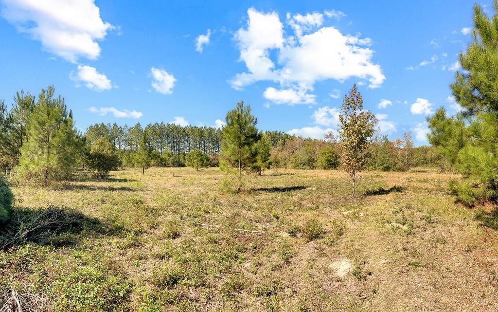 Poplarville, Pearl River County, MS Undeveloped Land for sale Property