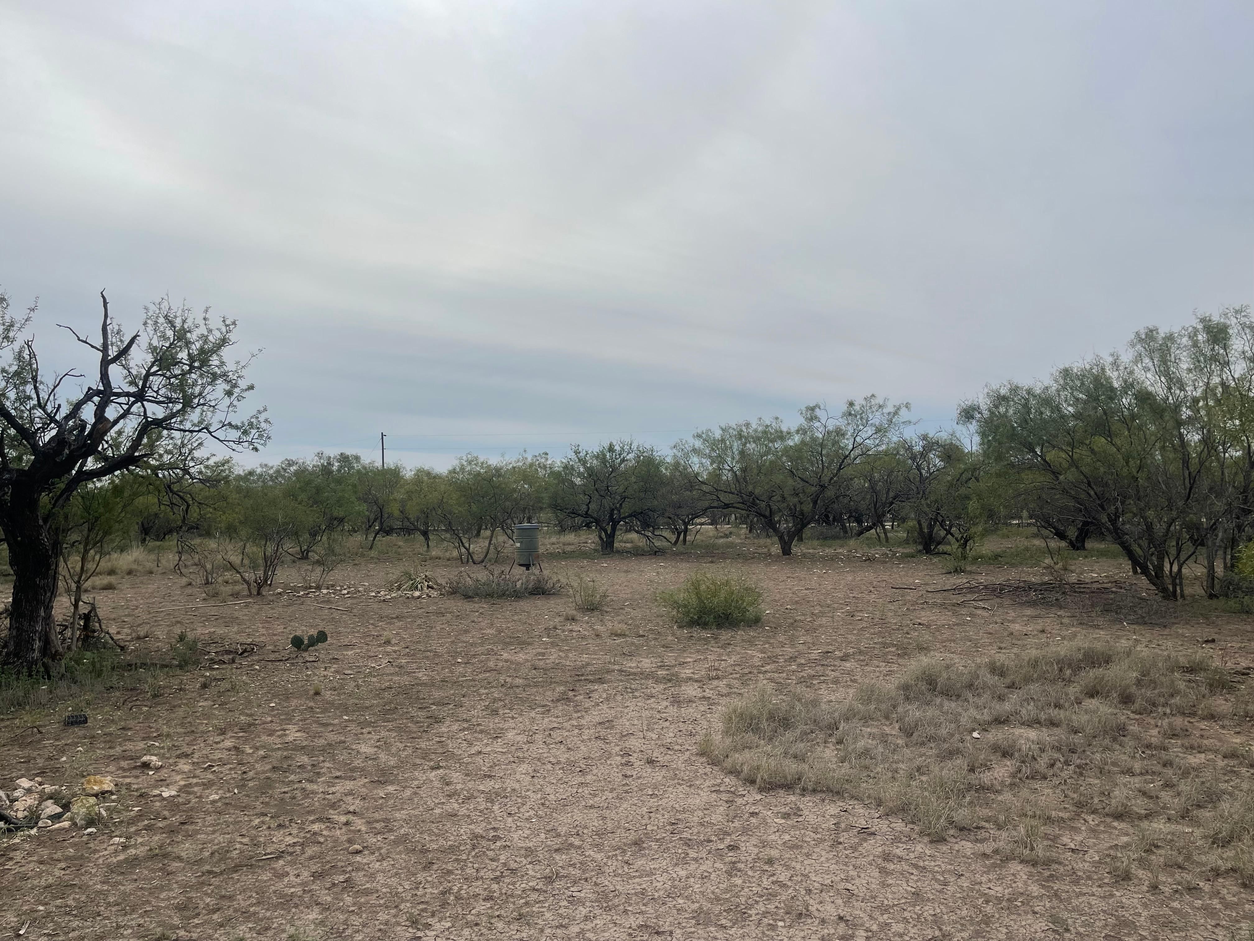 900 County Road 110, Eldorado, TX 76936 MLS LL113764A LandWatch