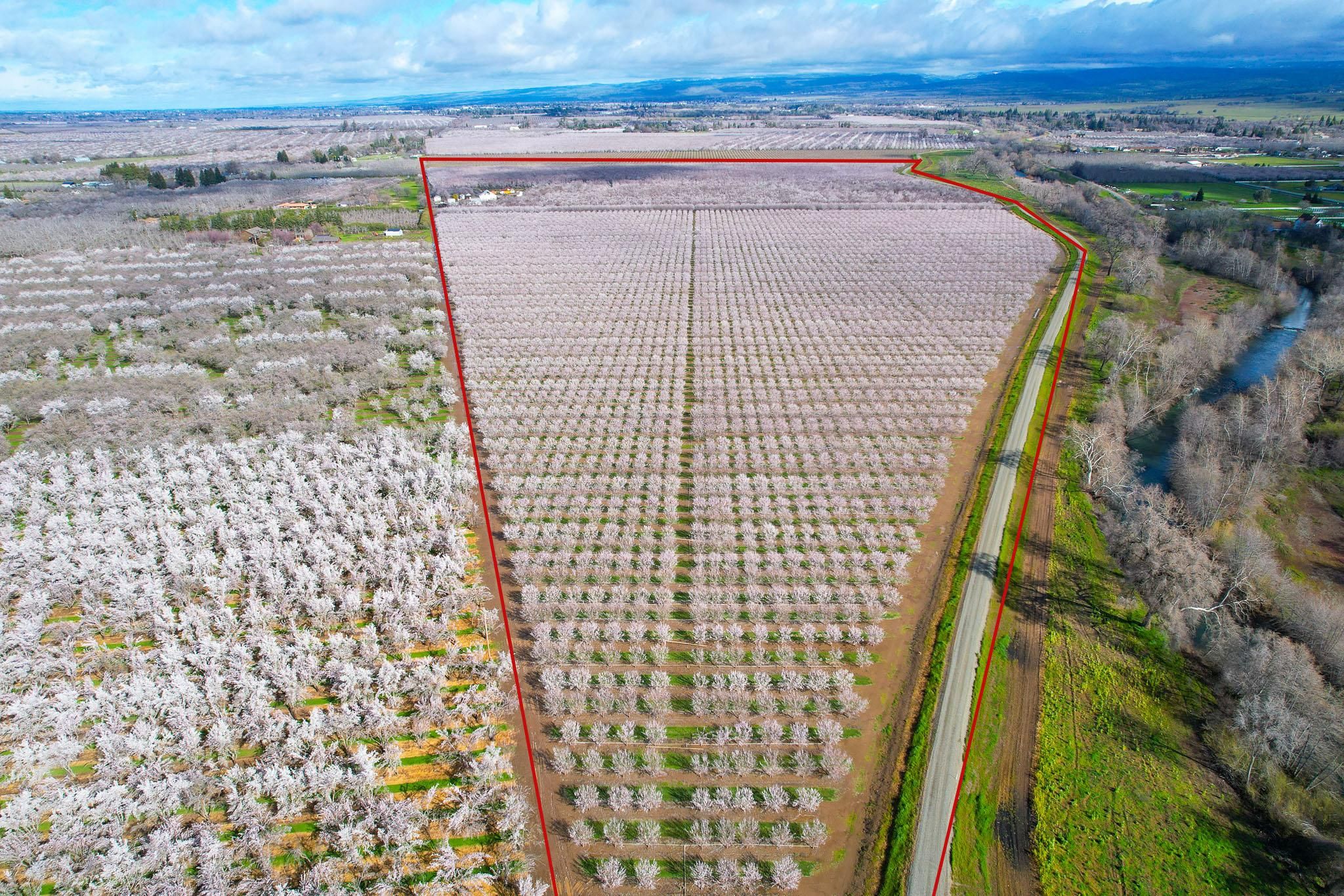 Durham, Butte County, CA Farms and Ranches, Commercial Property for