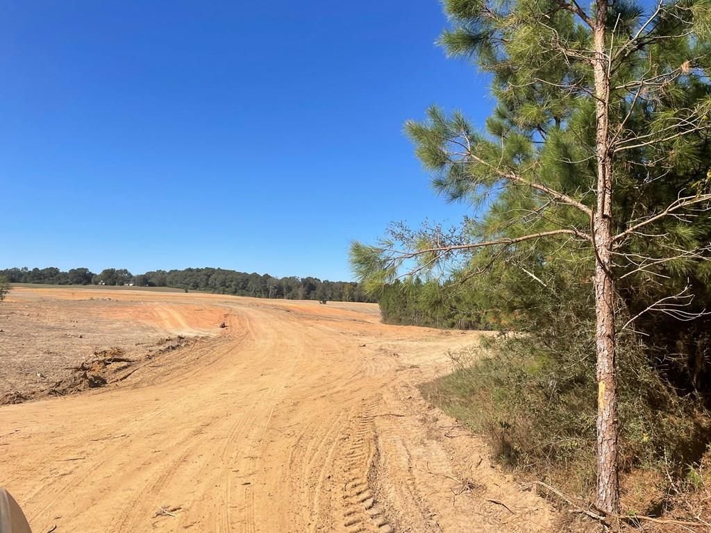 Goshen, Pike County, AL Farms and Ranches, Hunting Property for sale