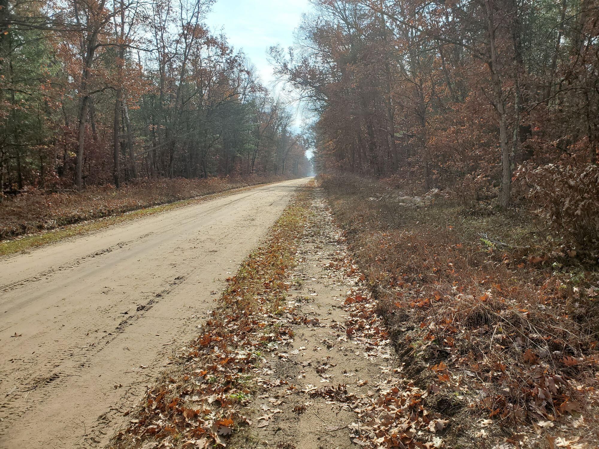 Idlewild, Lake County, MI Undeveloped Land, Homesites for sale Property